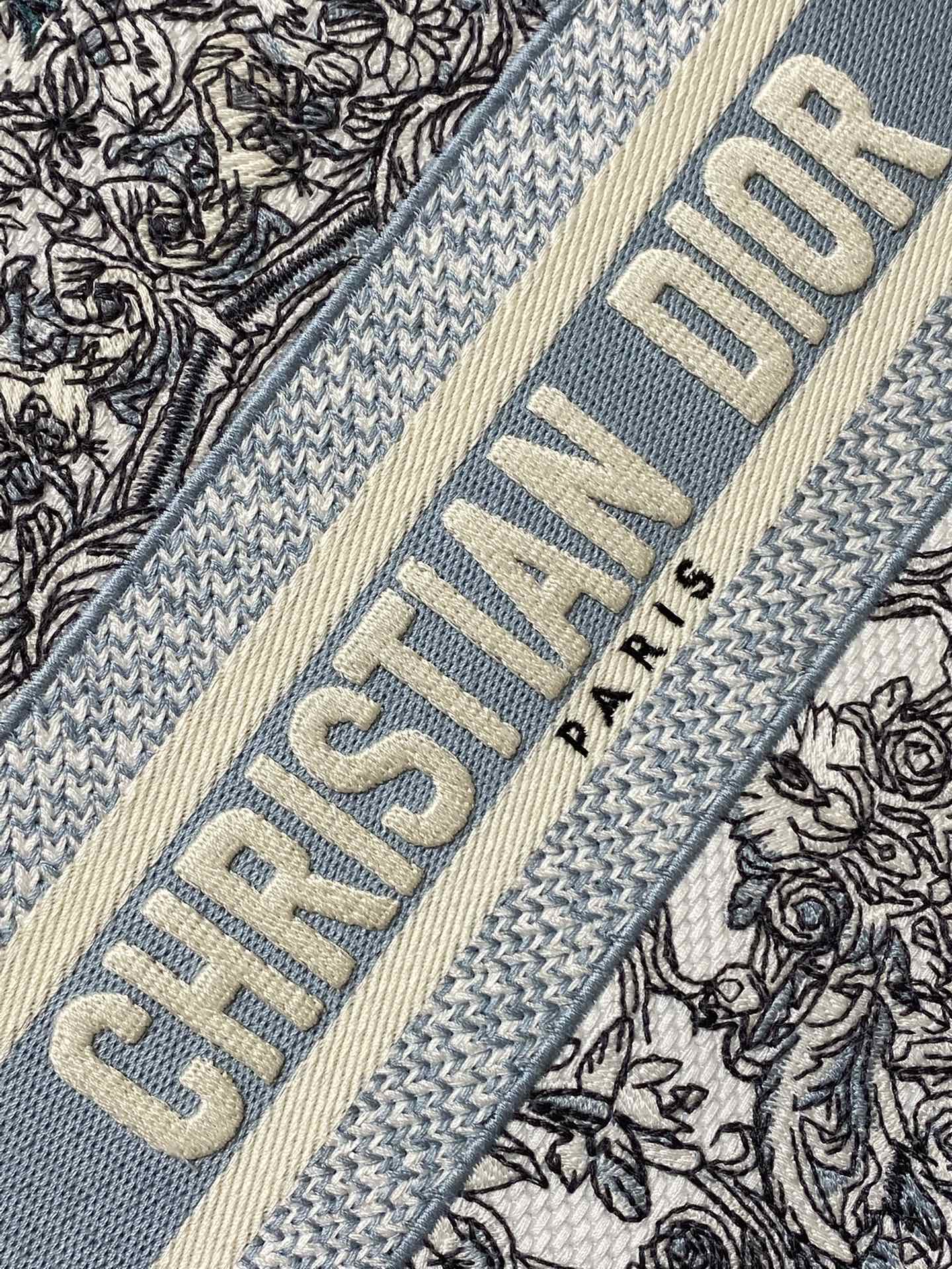 Dior Tote Bag Blue 22cm-l-s