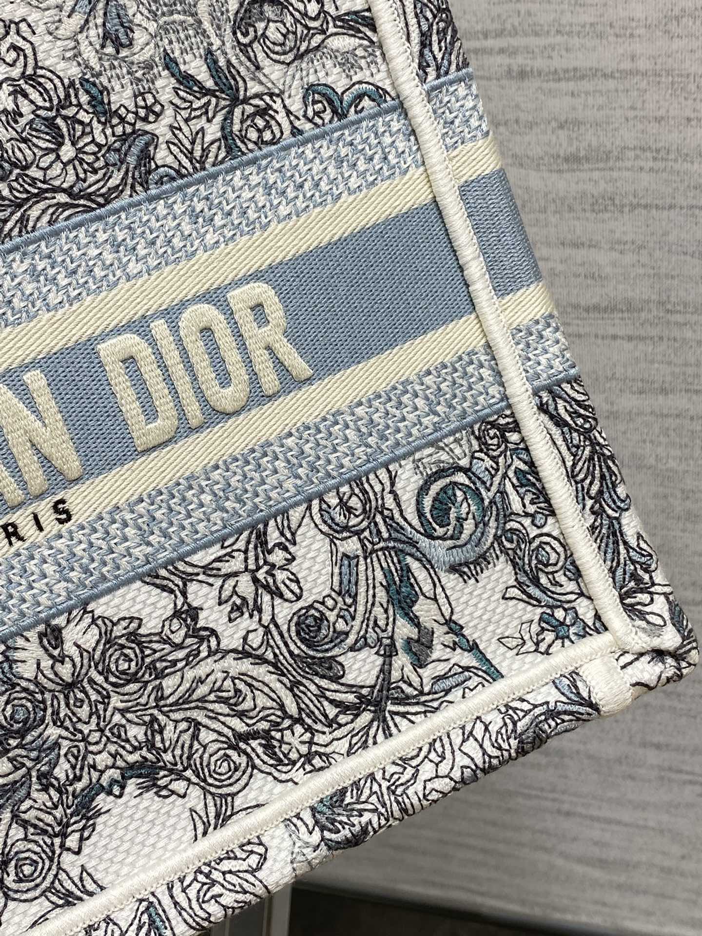 Dior Tote Bag Blue 22cm-l-s