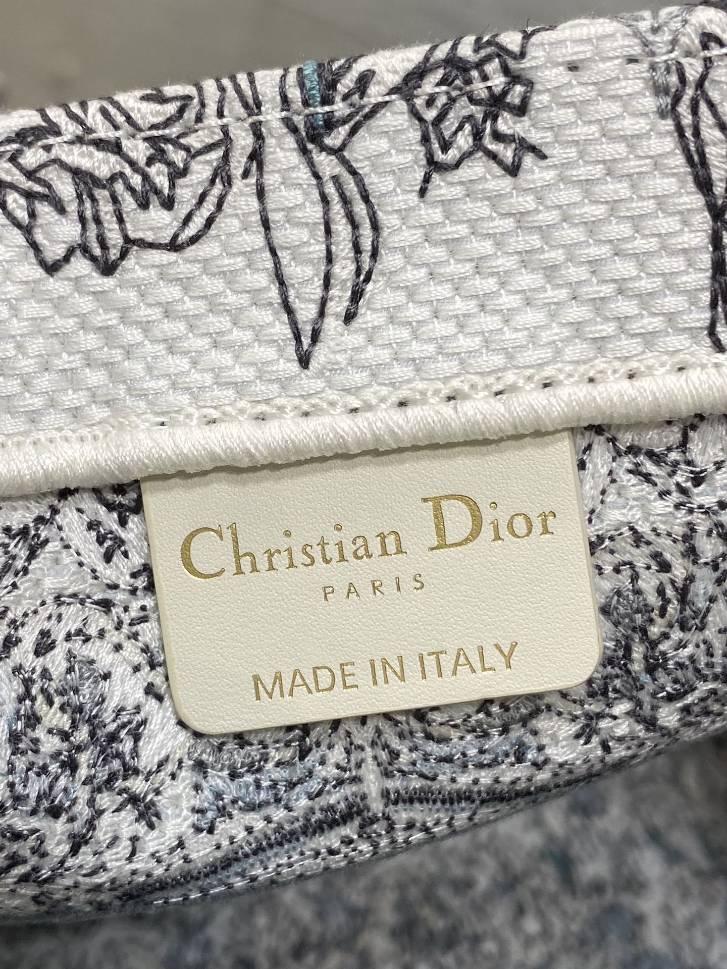 Dior Tote Bag Blue 22cm-l-s