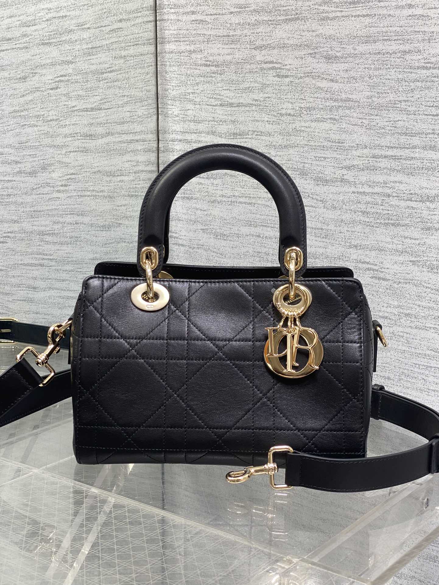 Dior Female Basic Bag Black 14cm-l-s