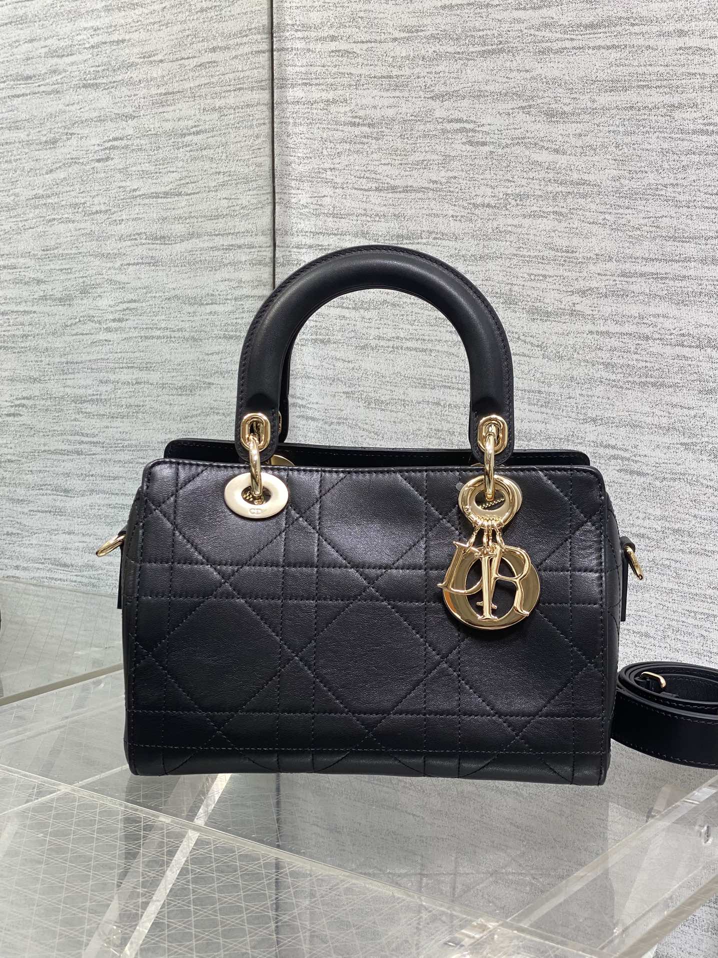 Dior Female Basic Bag Black 14cm-l-s