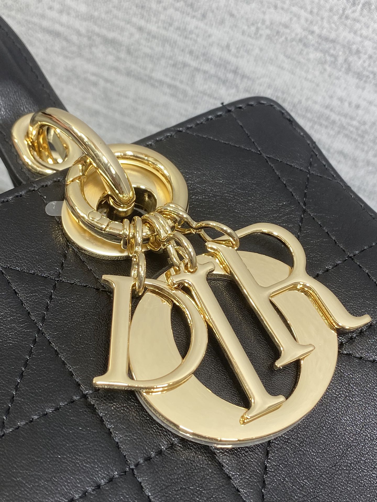 Dior Female Basic Bag Black 14cm-l-s