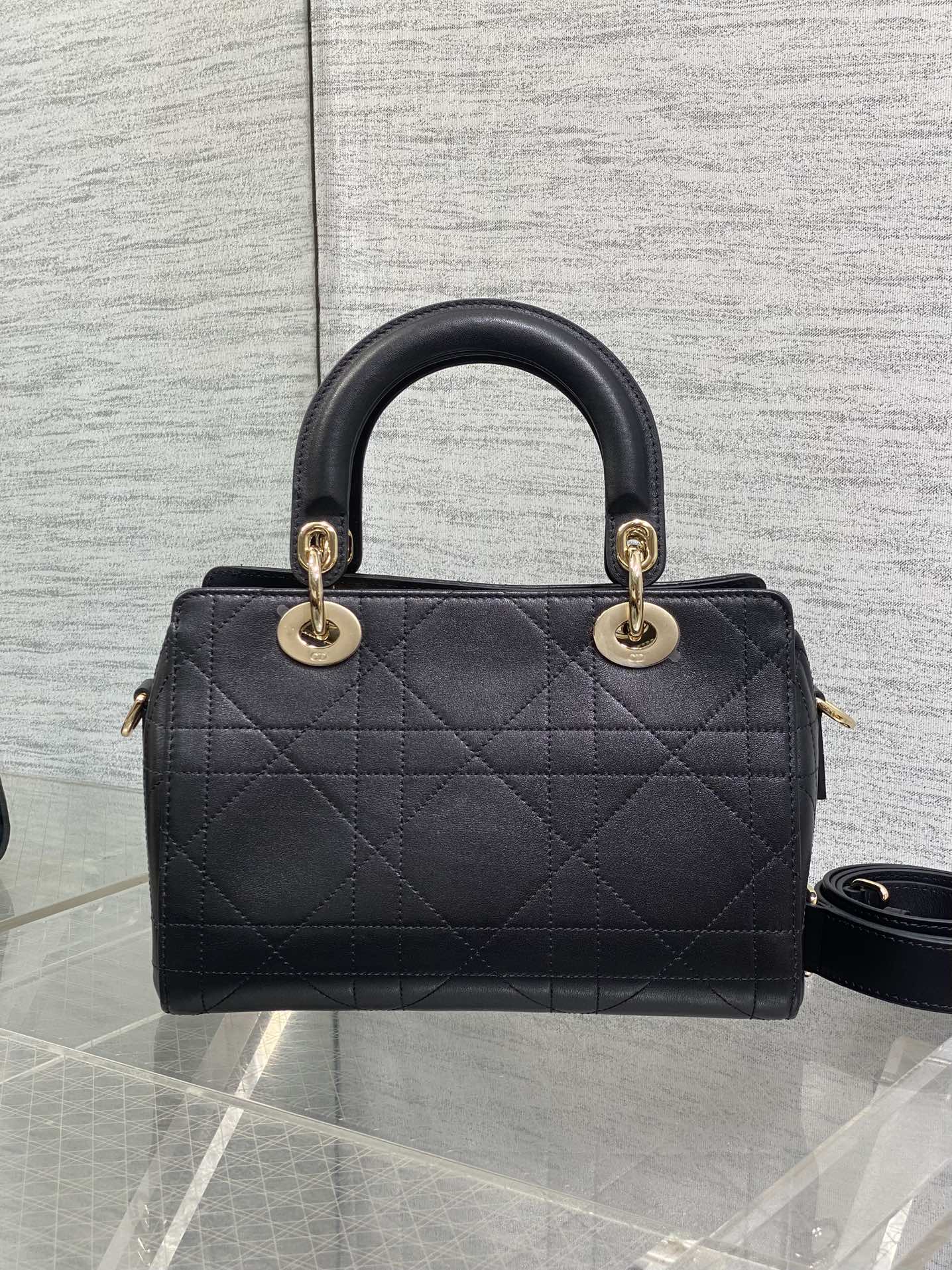 Dior Female Basic Bag Black 14cm-l-s
