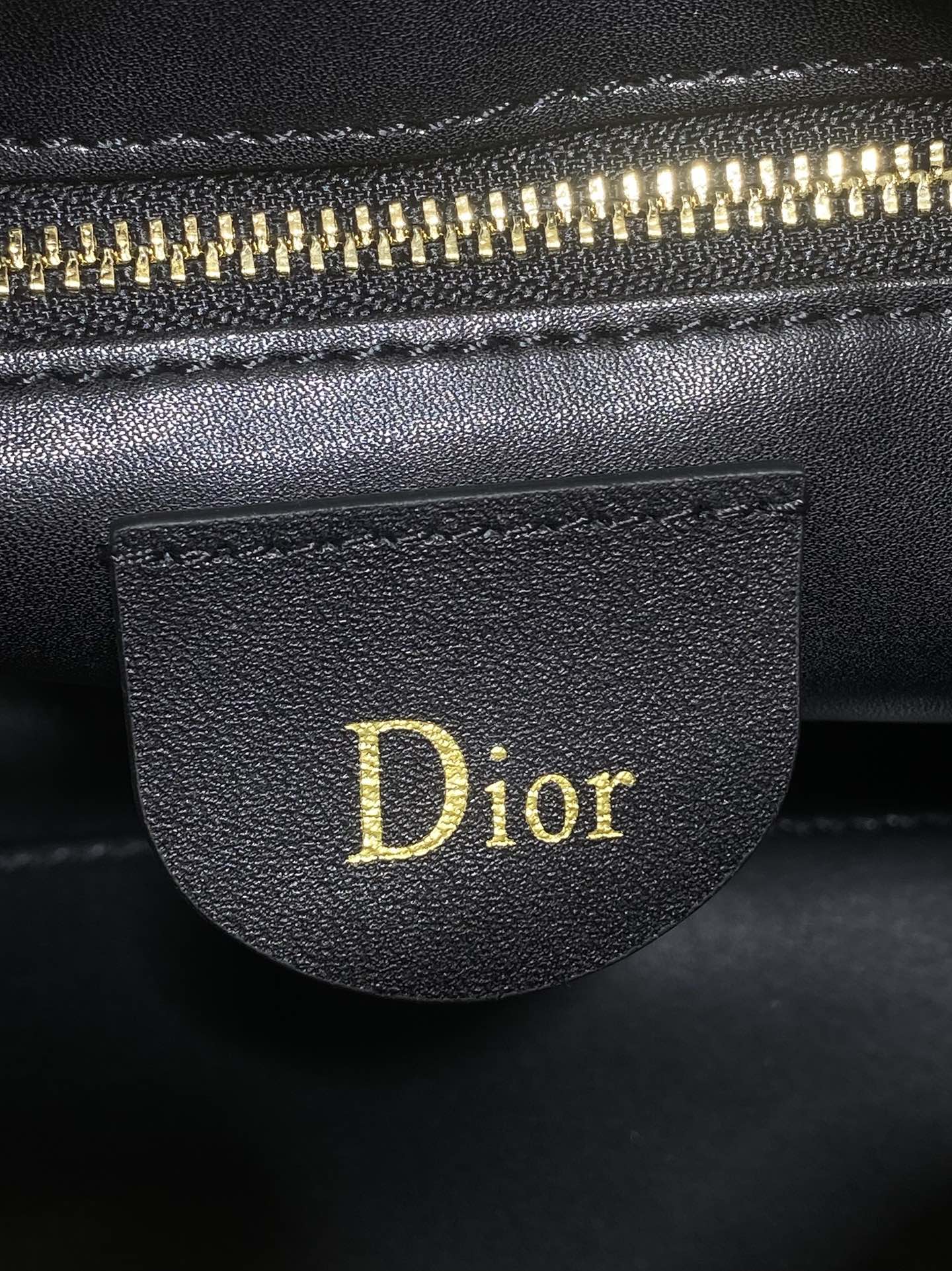 Dior Female Basic Bag Black 14cm-l-s