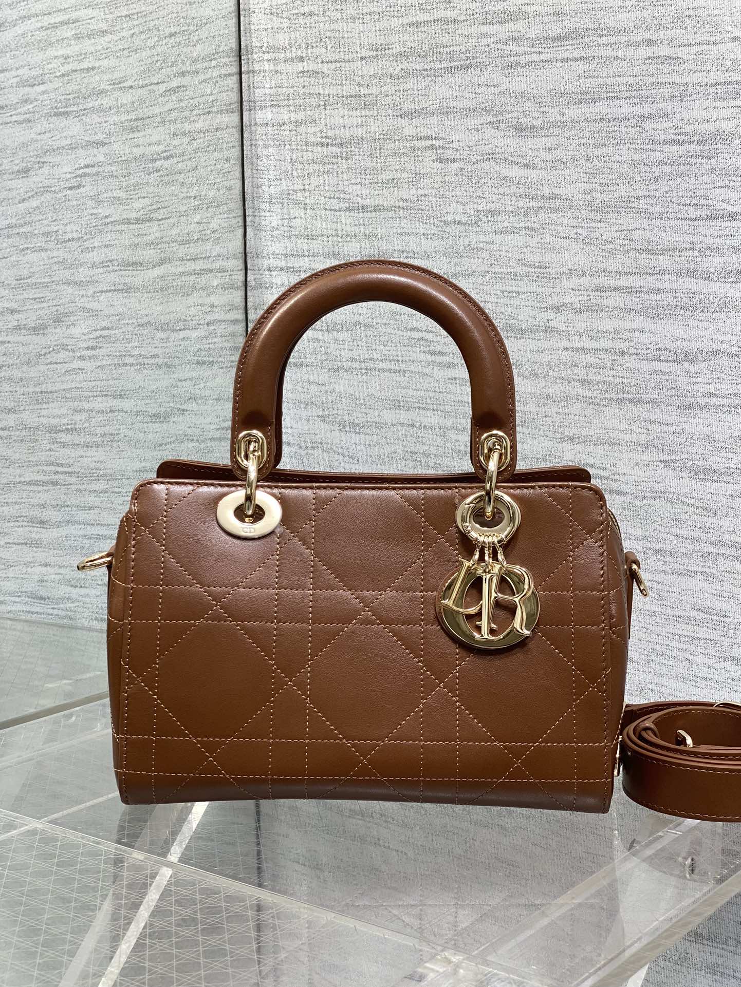 Dior Female Basic Bag Coffee 14cm-l-s
