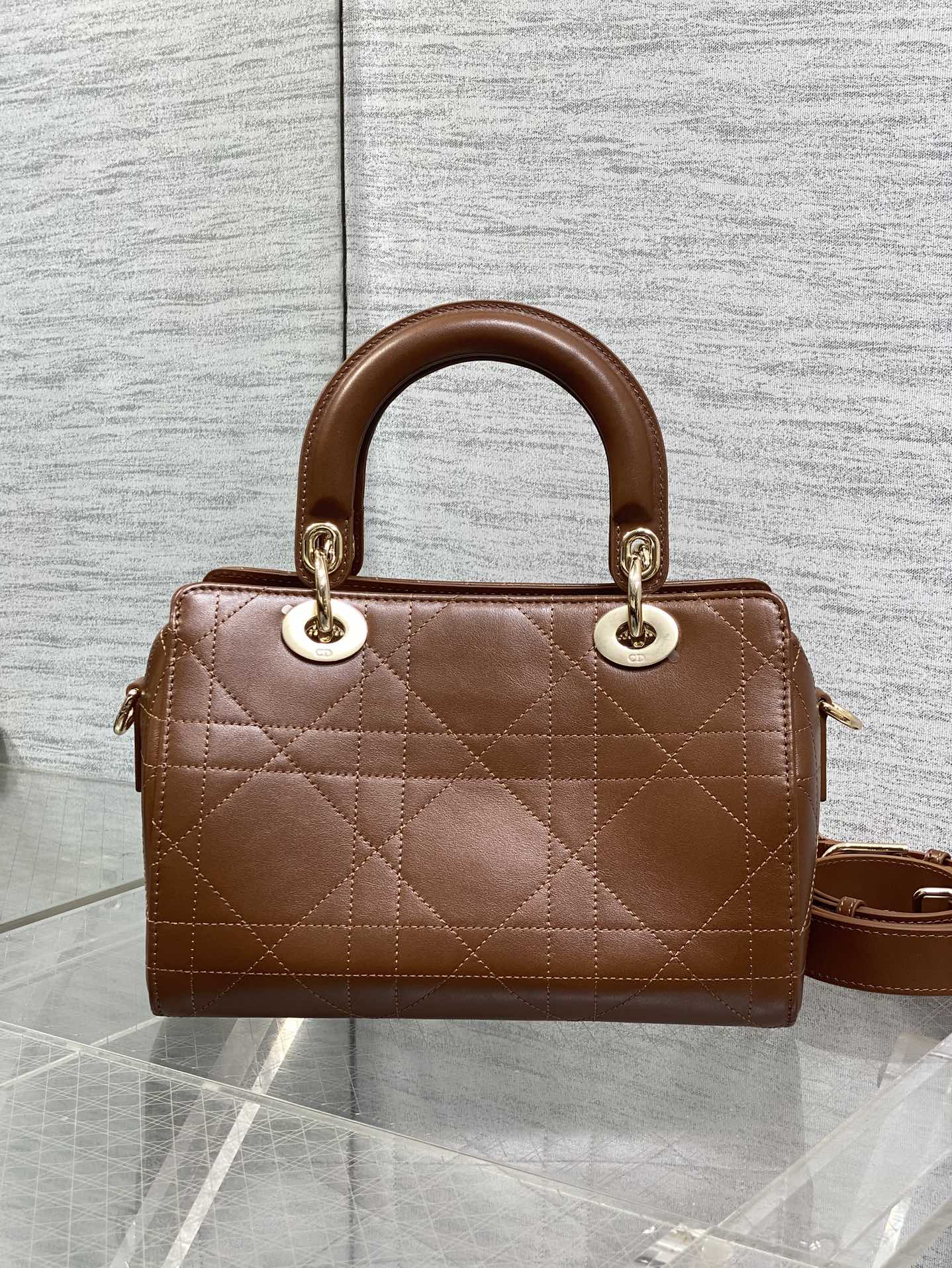 Dior Female Basic Bag Coffee 14cm-l-s