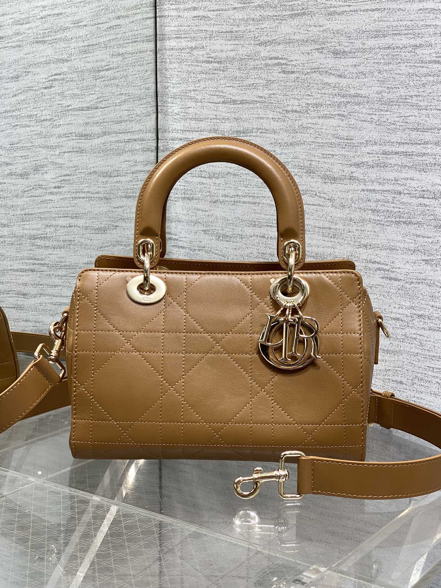 Dior Female Basic Bag Brown 14cm-l-s