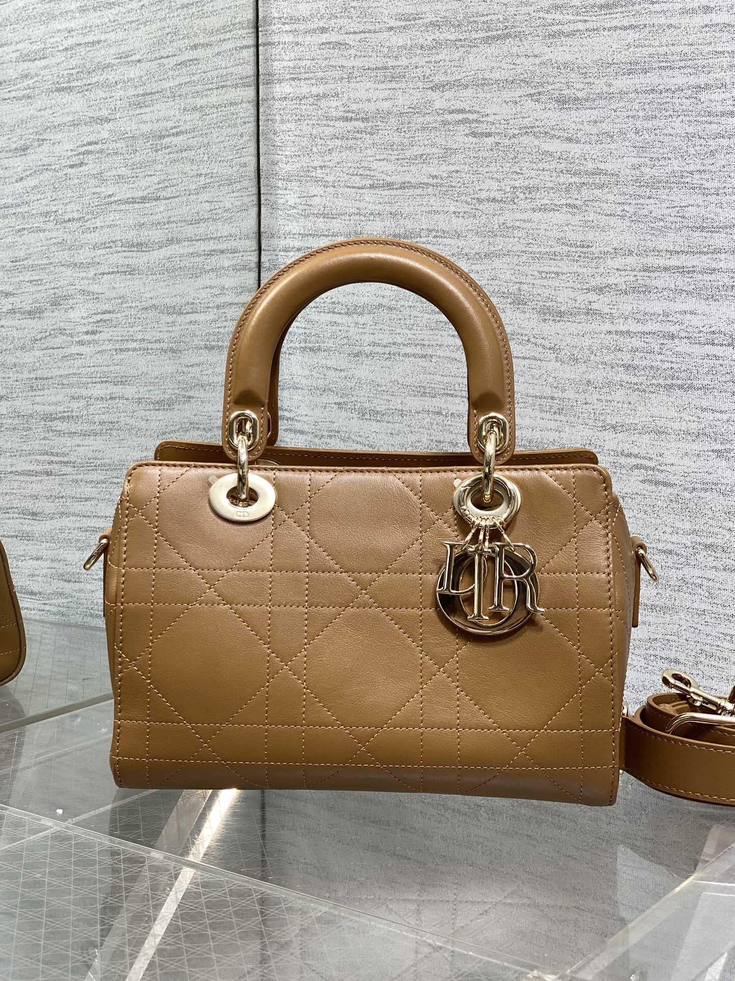 Dior Female Basic Bag Brown 14cm-l-s