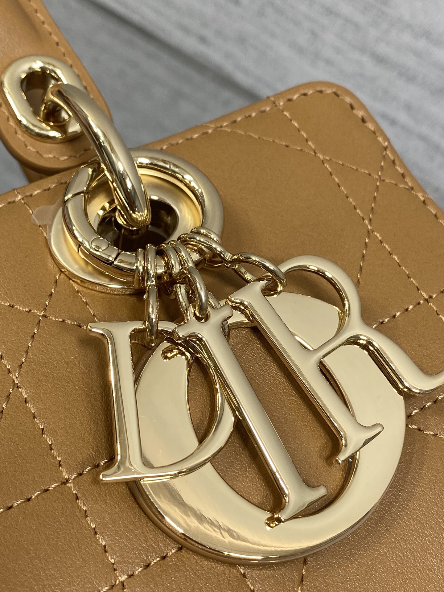 Dior Female Basic Bag Brown 14cm-l-s