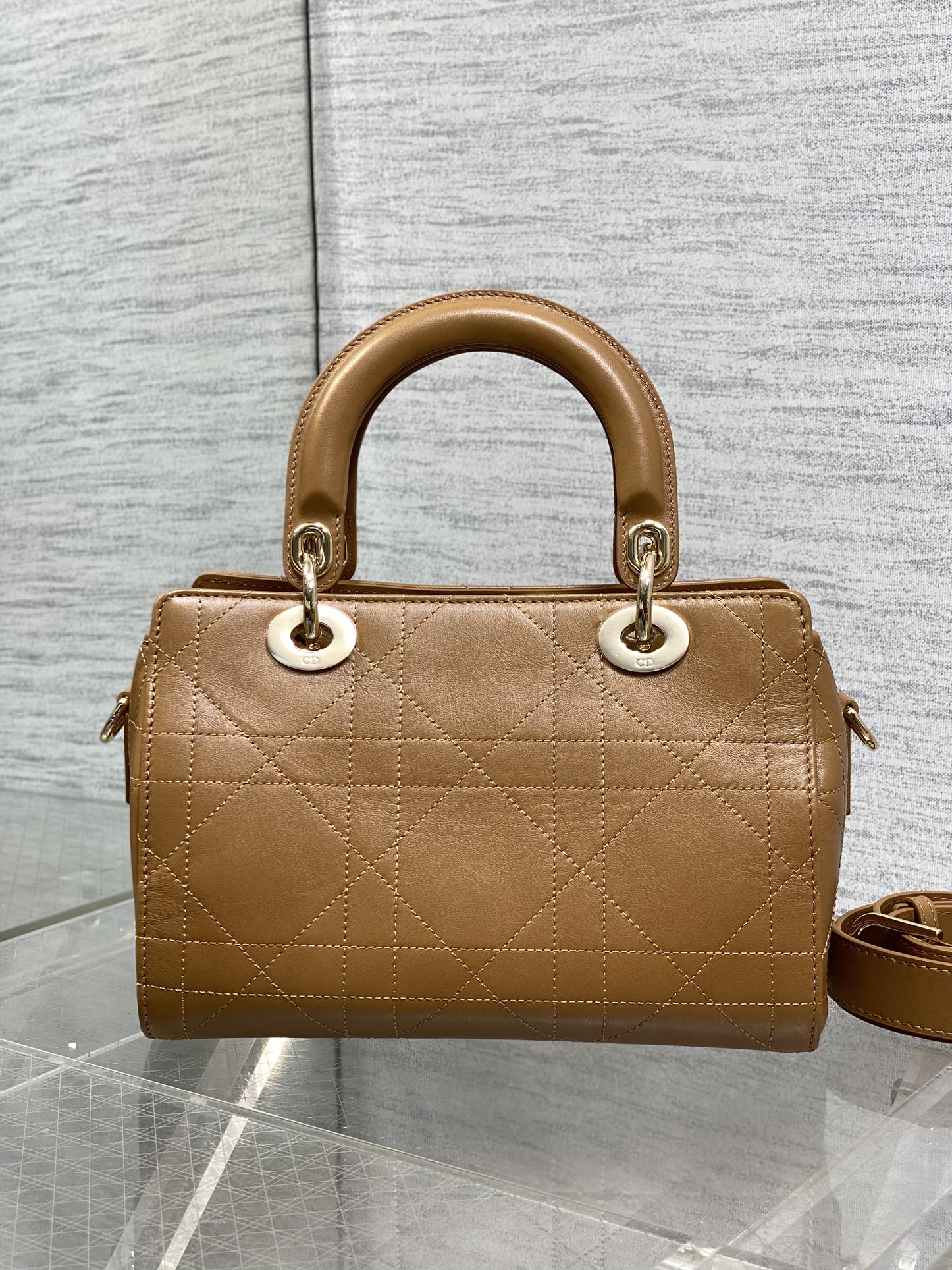 Dior Female Basic Bag Brown 14cm-l-s