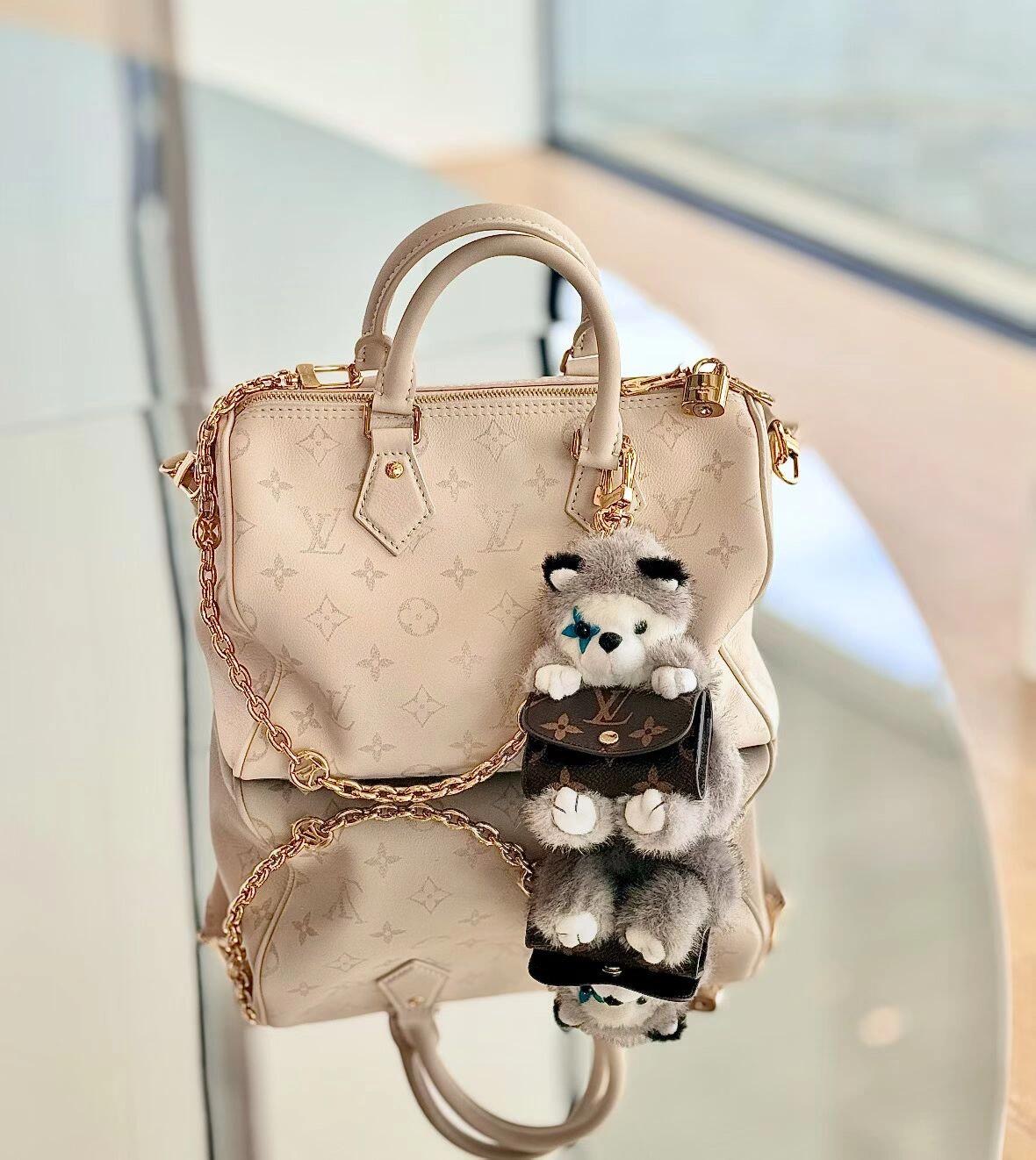 Louis Vuitton Basic Bag S