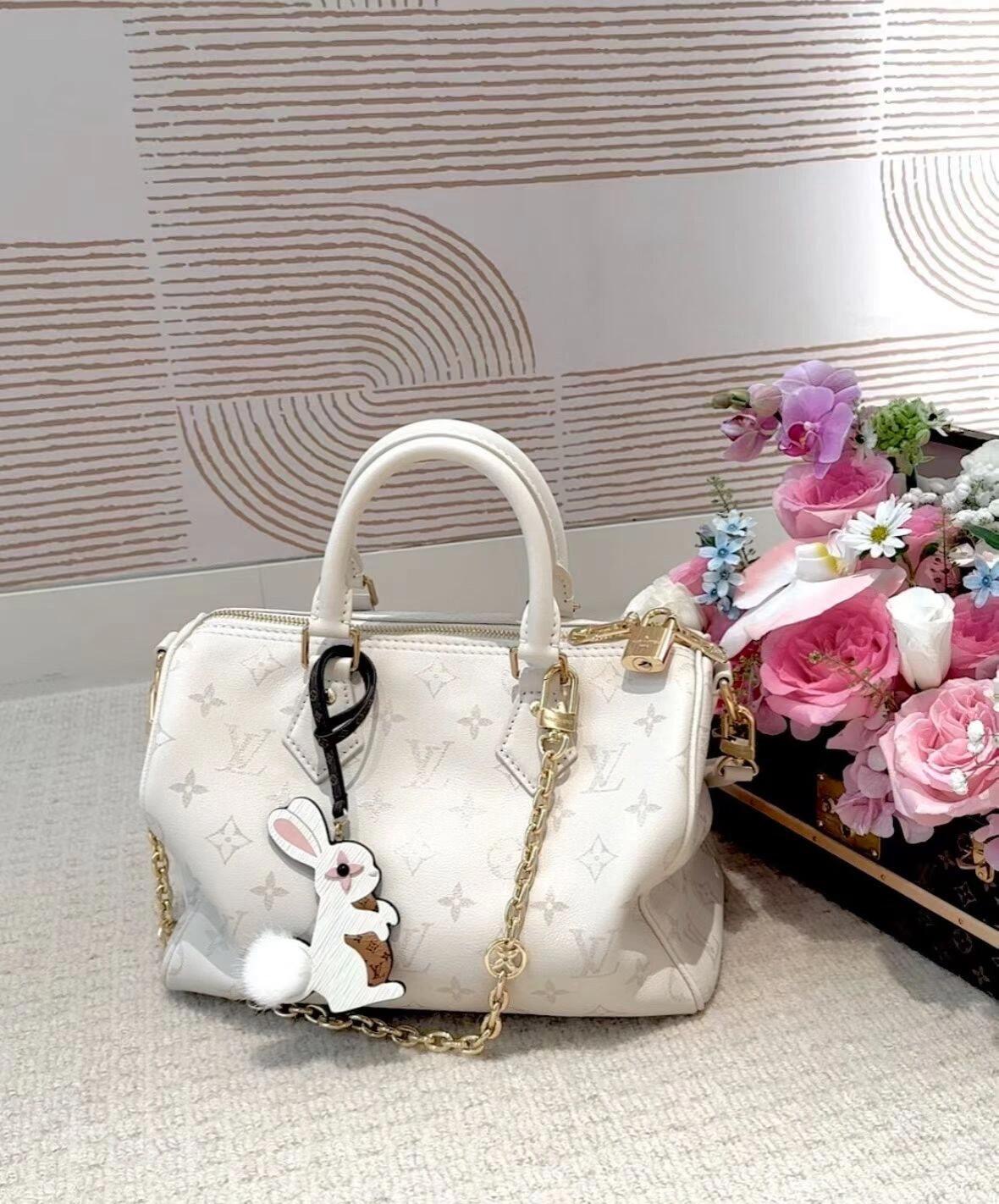 Louis Vuitton Basic Bag S