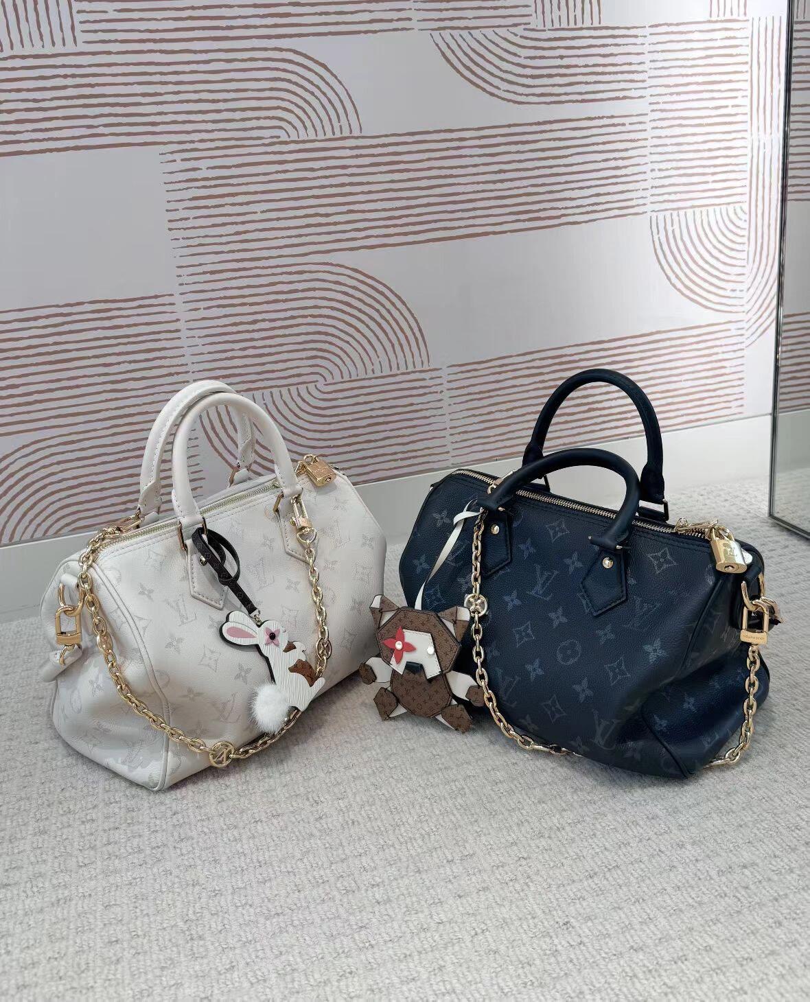 Louis Vuitton Basic Bag S