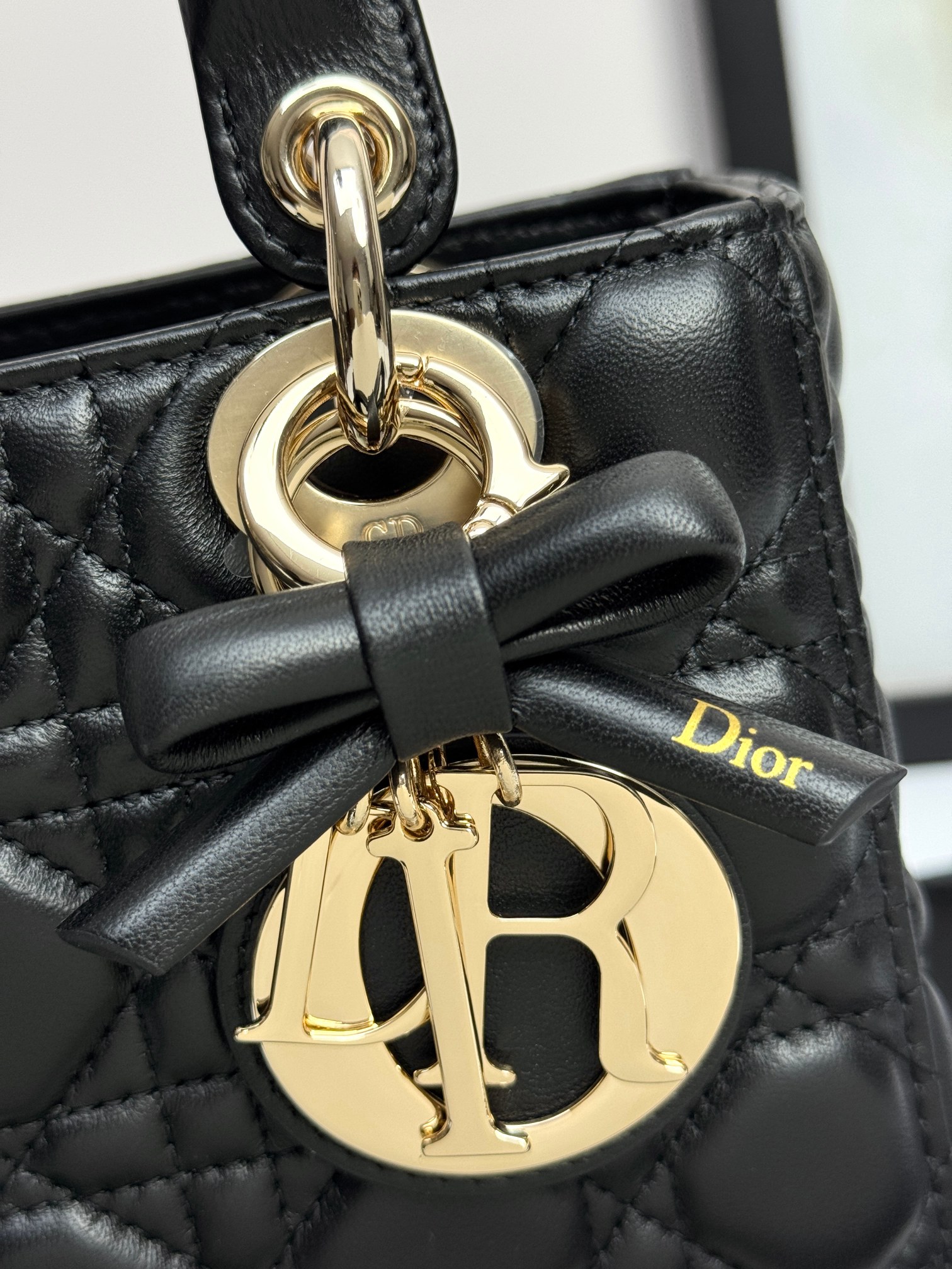 Dior Basic Bag Cow Leather Black M