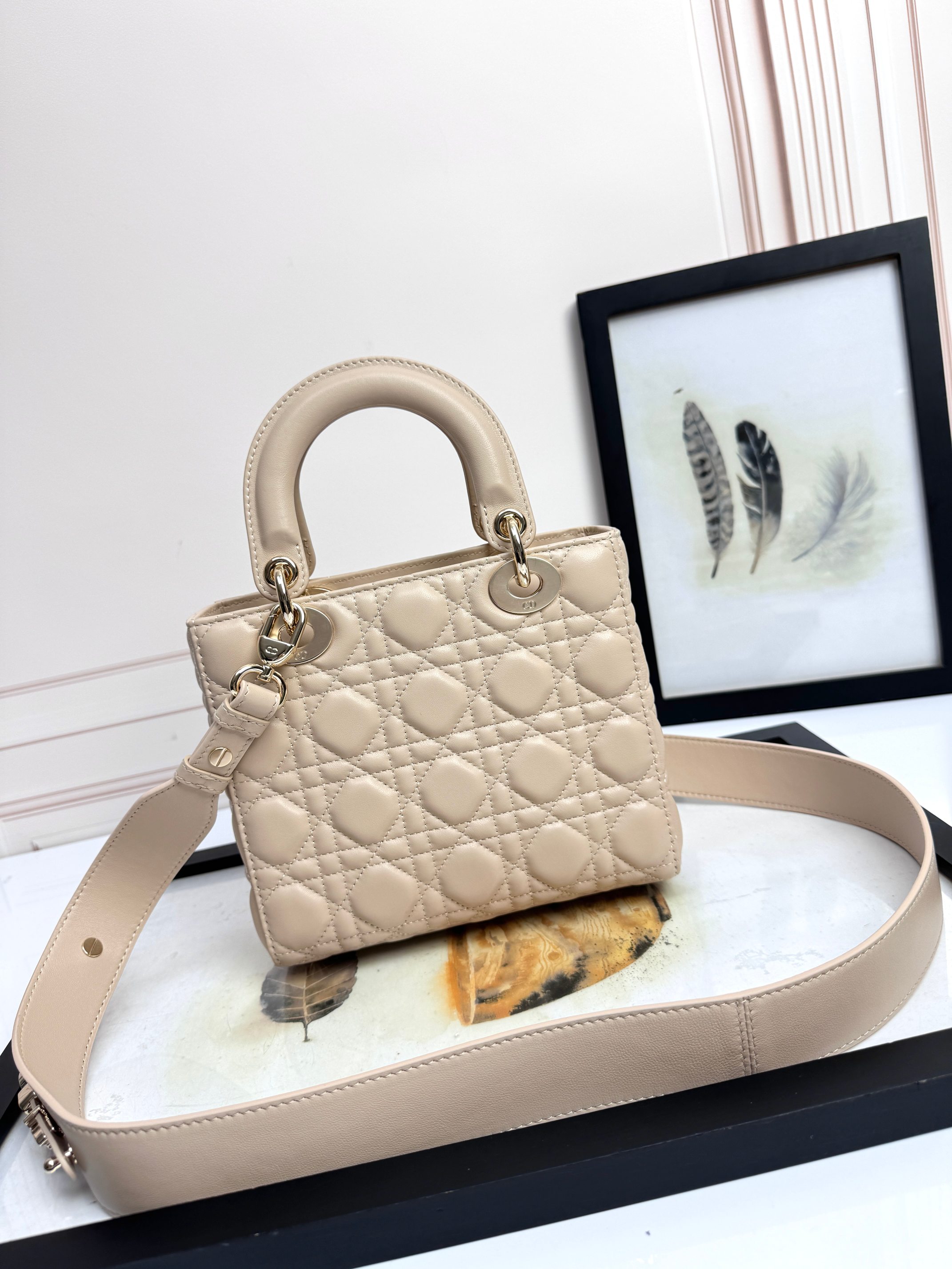 Dior Basic Bag Cow Leather M