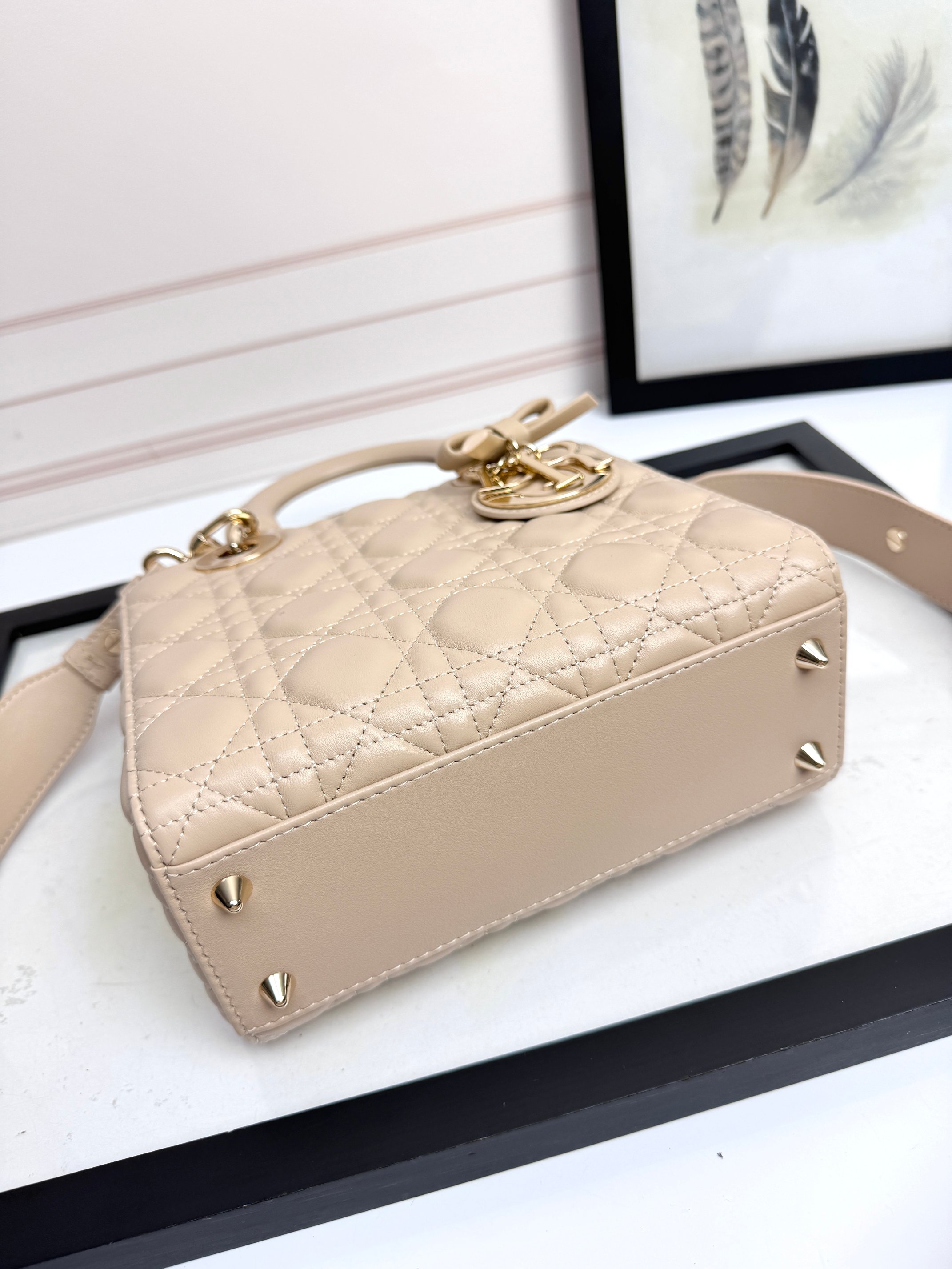 Dior Basic Bag Cow Leather M