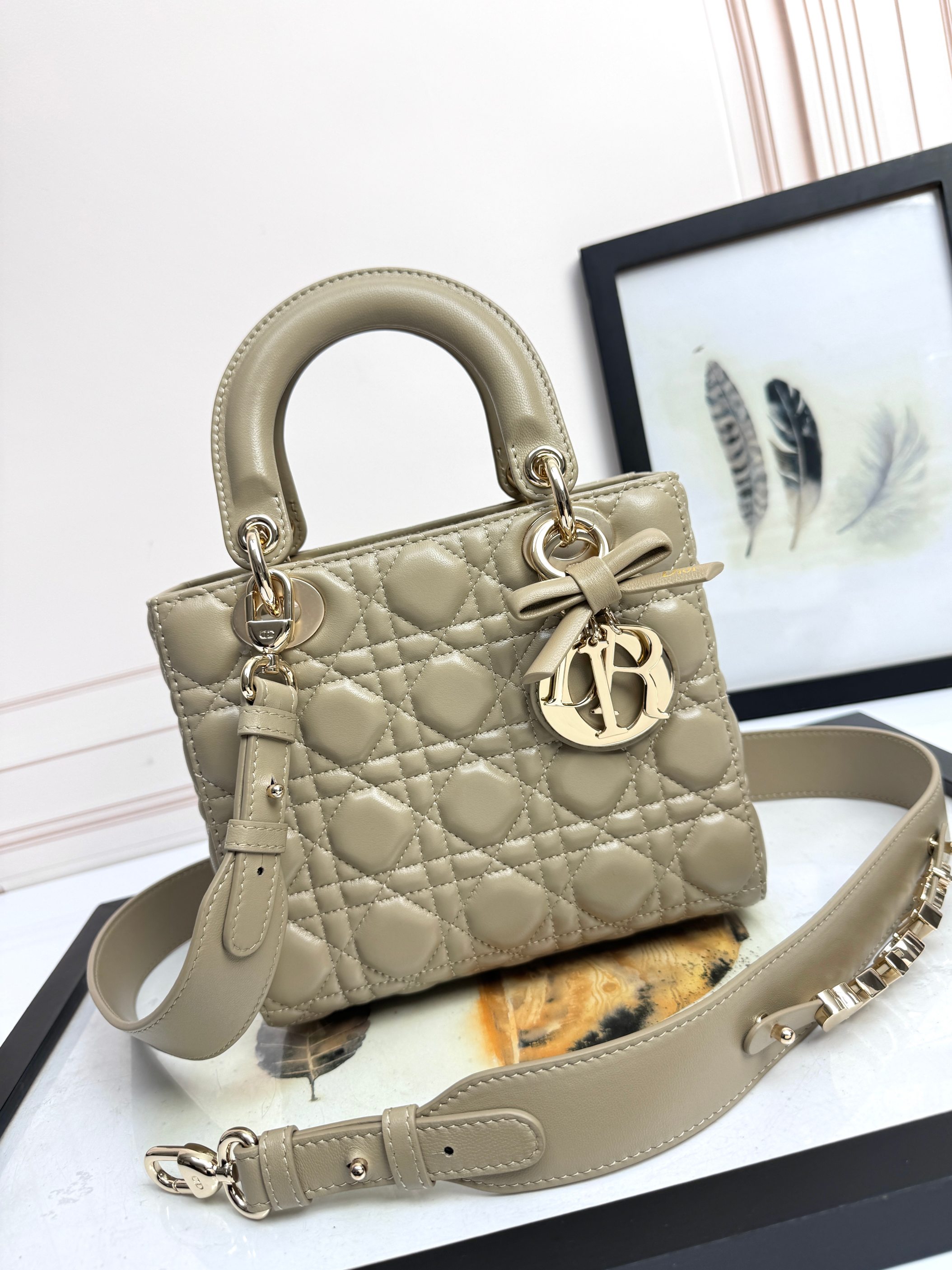 Dior Basic Bag Cow Leather M