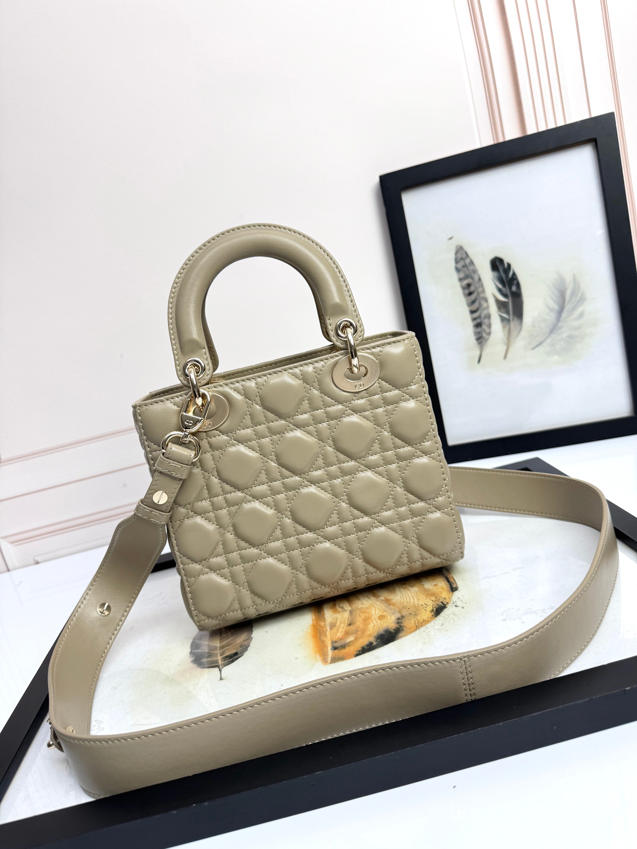 Dior Basic Bag Cow Leather M