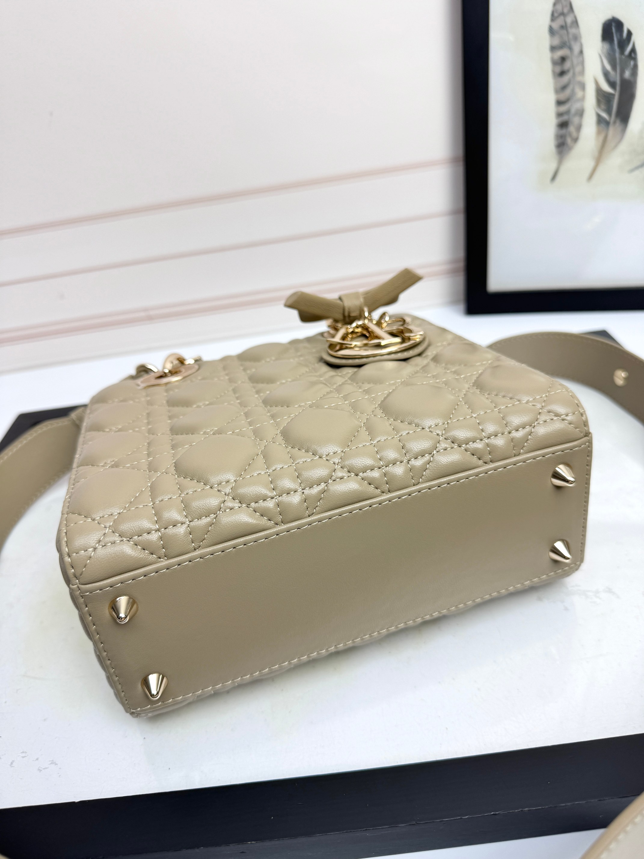 Dior Basic Bag Cow Leather M
