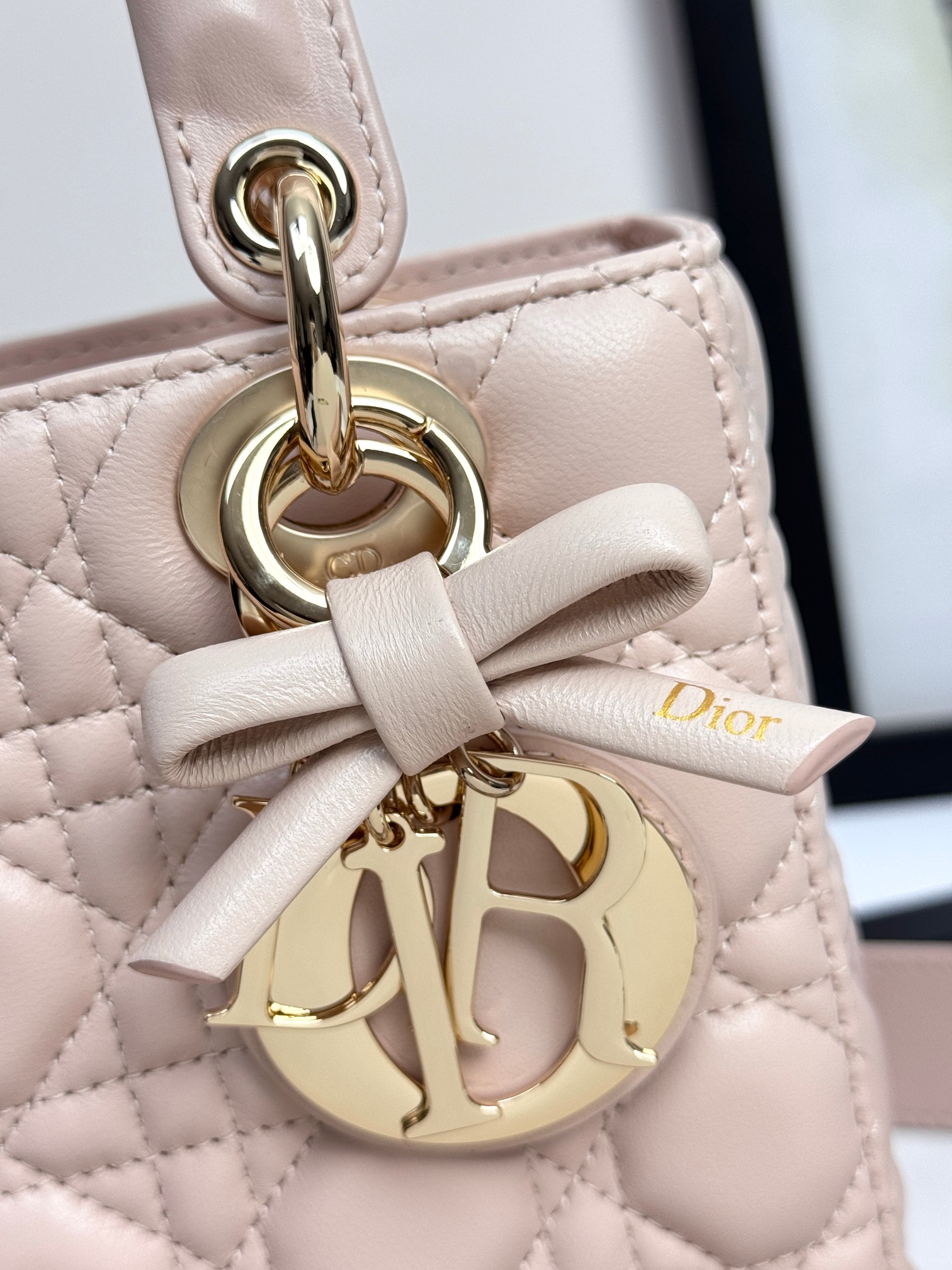 Dior Basic Bag Cow Leather Pink M