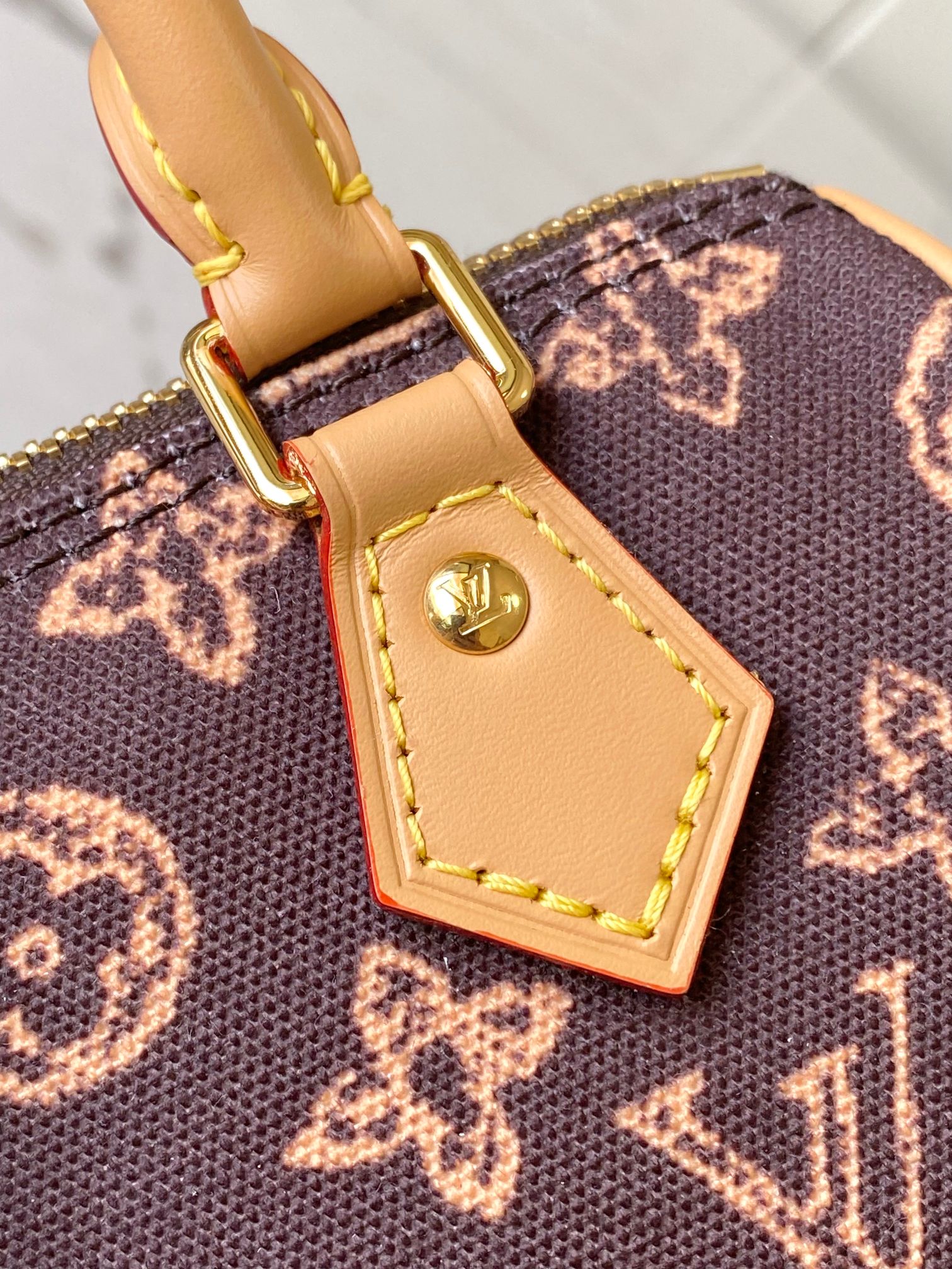 Louis Vuitton Basic Bag Canvas M-s