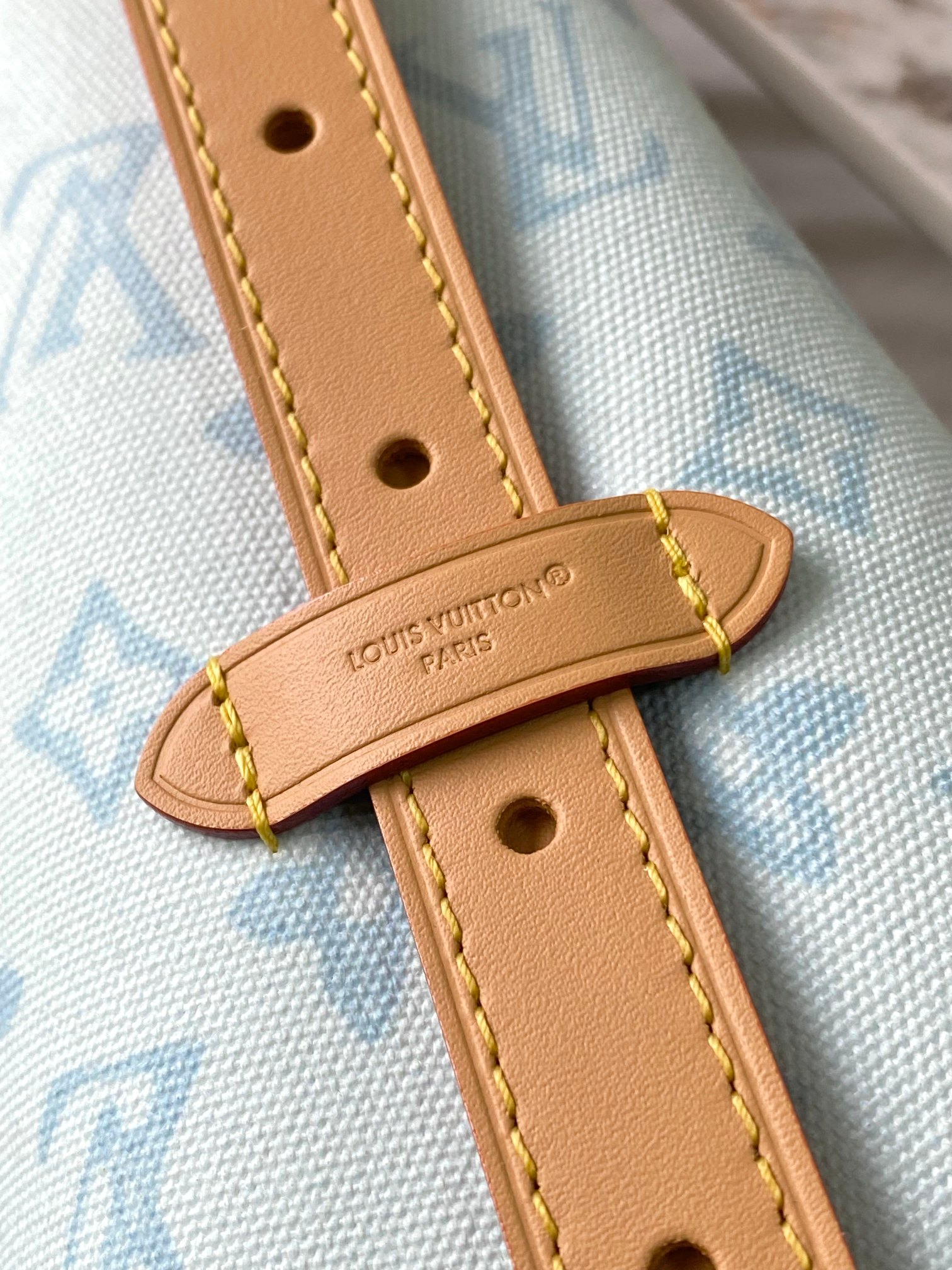 Louis Vuitton Basic Bag Cow Leather Blue M-l