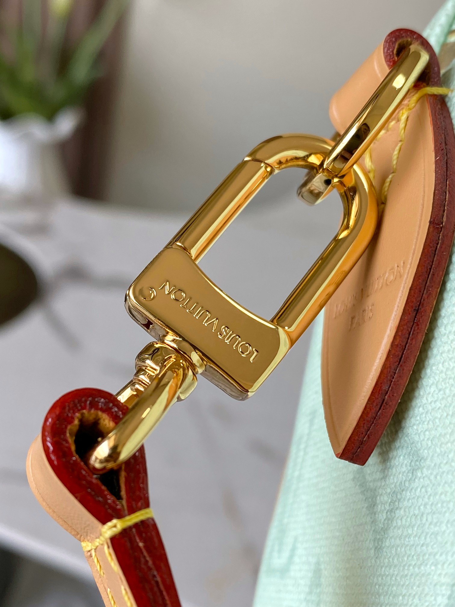 Louis Vuitton Basic Bag Cow Leather M-l-s