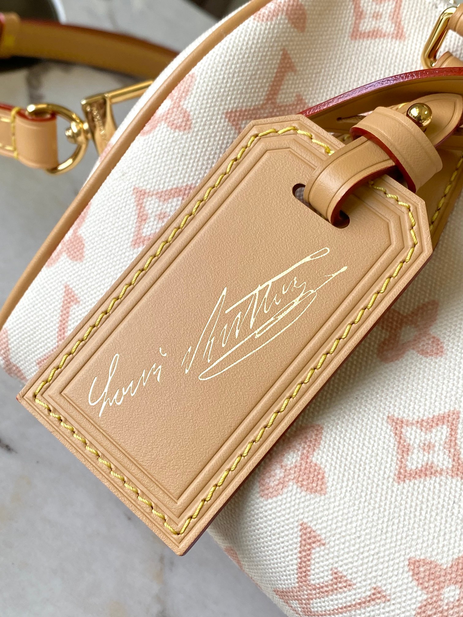 Louis Vuitton Basic Bag Cow Leather M-l-s