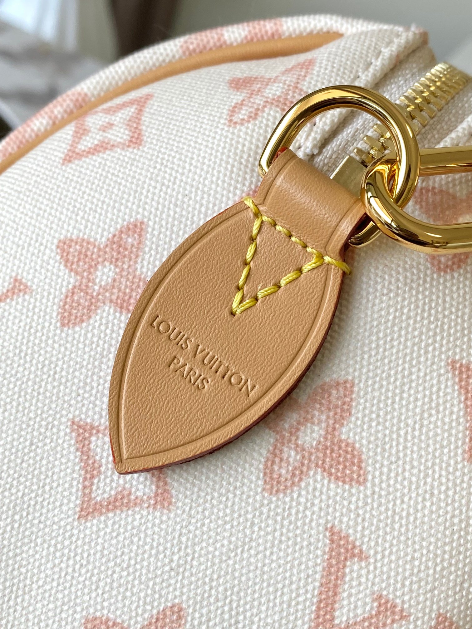 Louis Vuitton Basic Bag Cow Leather M-l-s