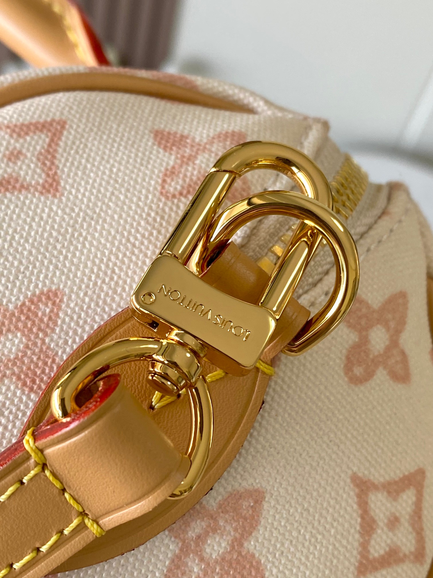 Louis Vuitton Basic Bag Cow Leather M-l-s