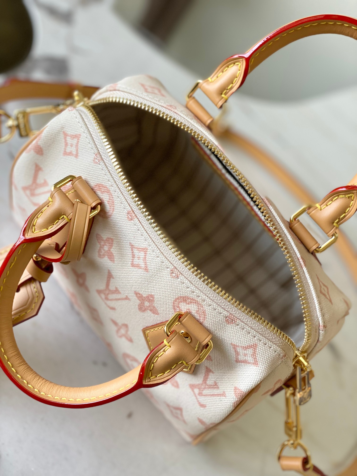 Louis Vuitton Basic Bag Cow Leather M-l-s