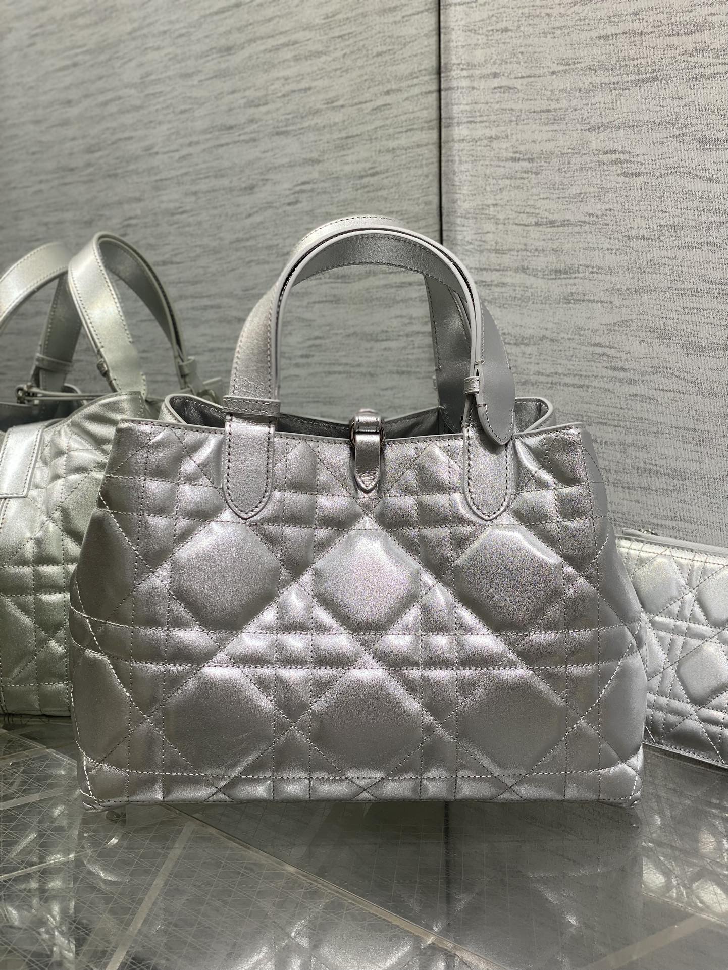 Basic Bag Cow Leather Silver Foldable 21cm-s