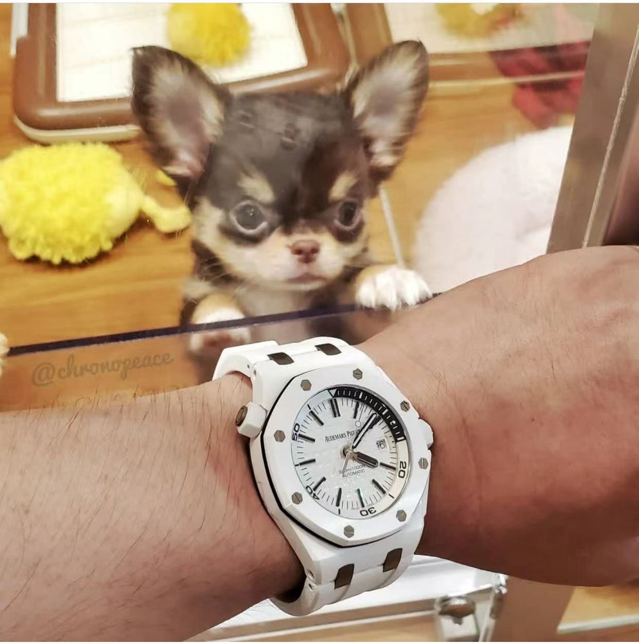 Audemars Piguet Aps 15707ce 3120 1 Watch Case: Ceramic, ,ceramicwatch 9 2 Diamond 3 Dial 15 Chronograph Hands, Markers 60-15 Original 4 Strap