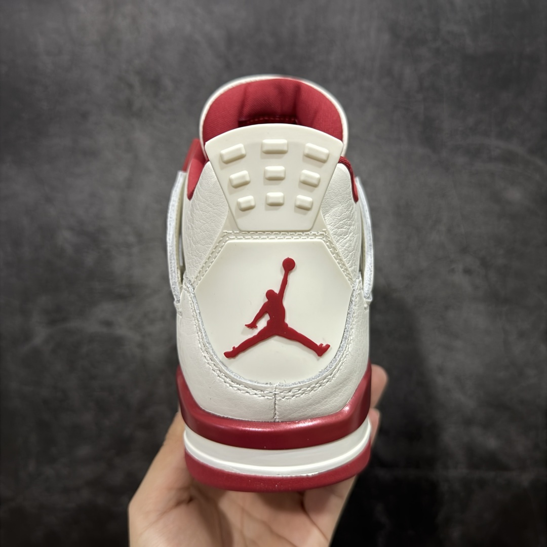 Jordan Nike Basic Shoes