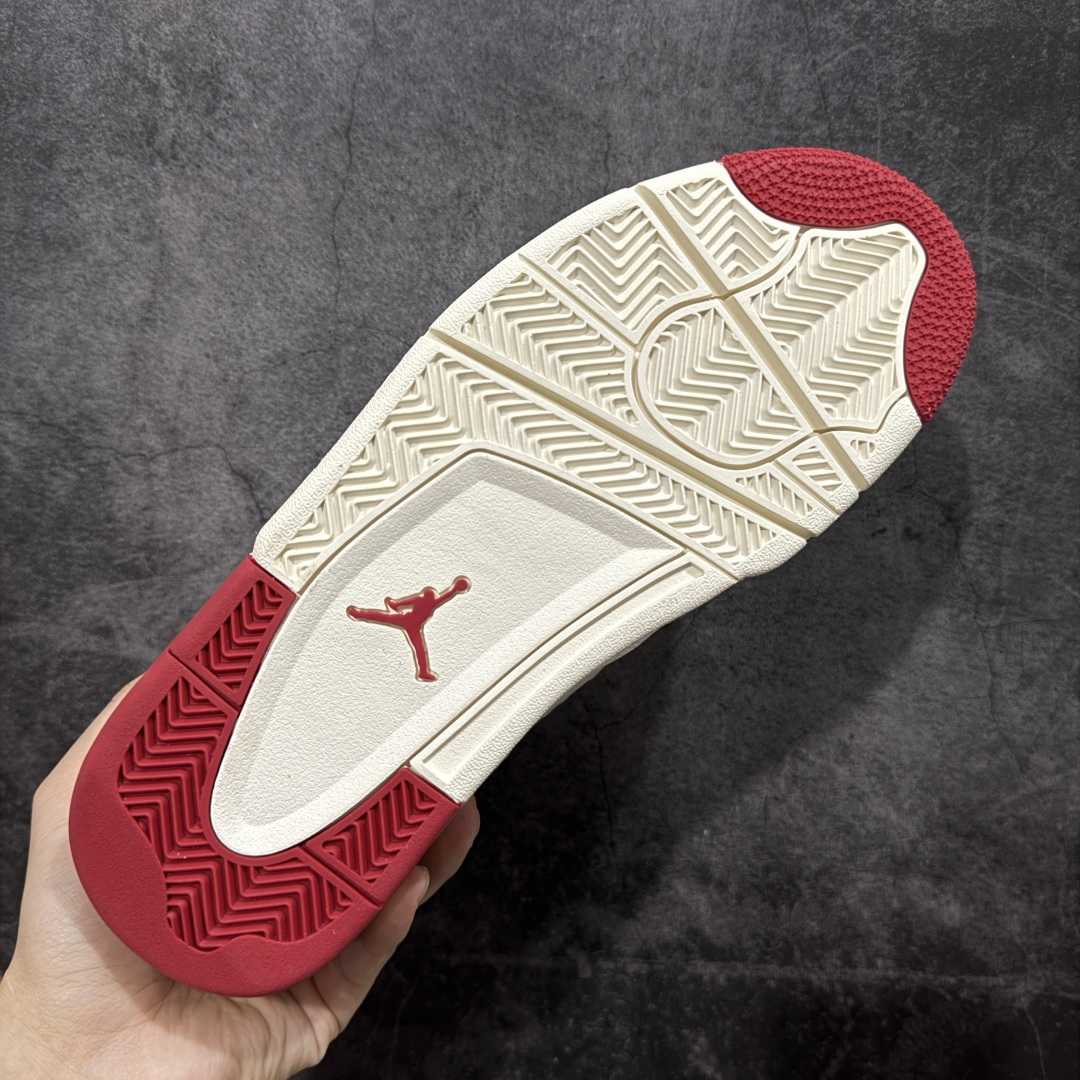 Jordan Nike Basic Shoes