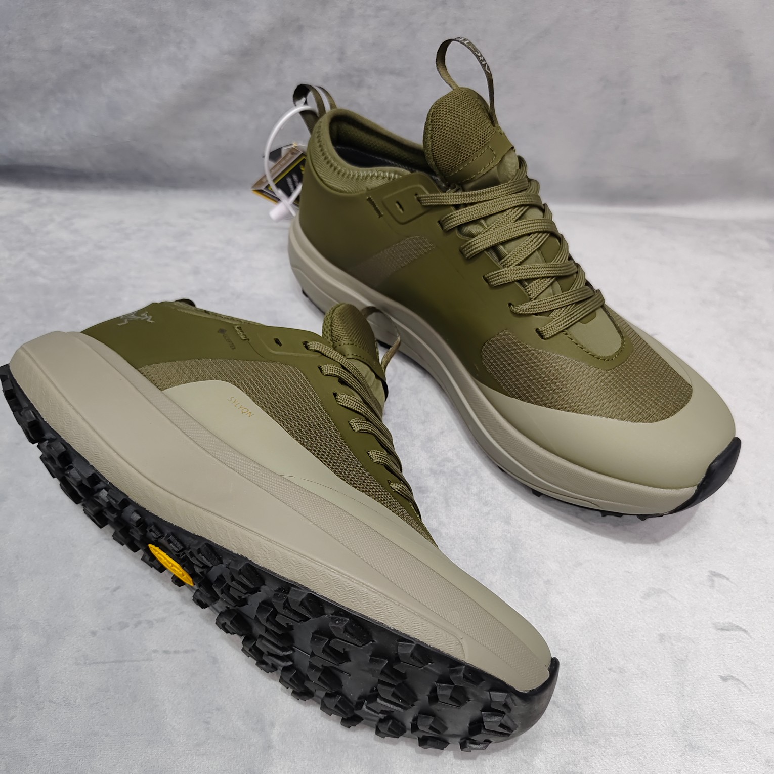 Arcteryx Male Basic Shoes M-l-s