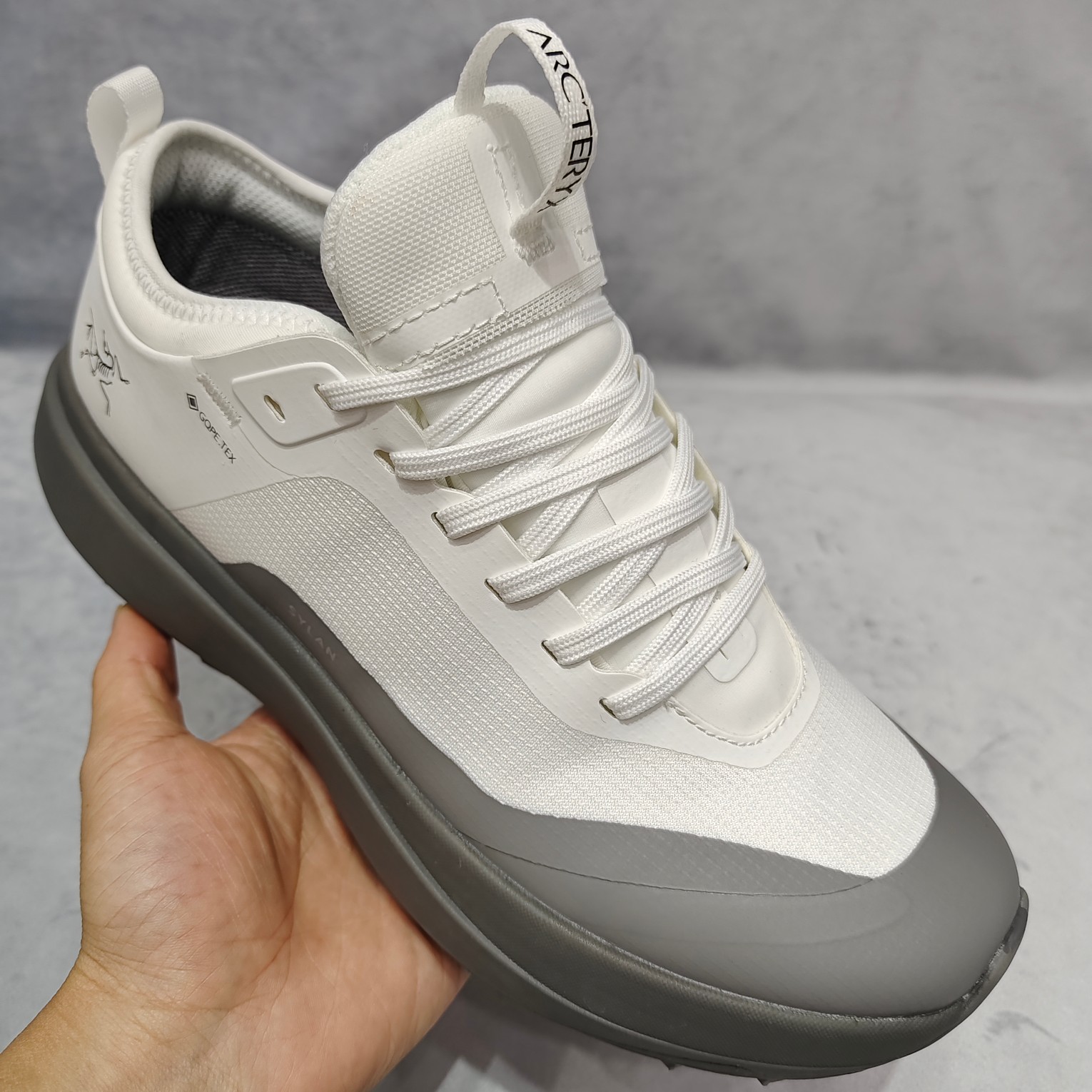 Arcteryx Male Basic Shoes Gray M-l-s