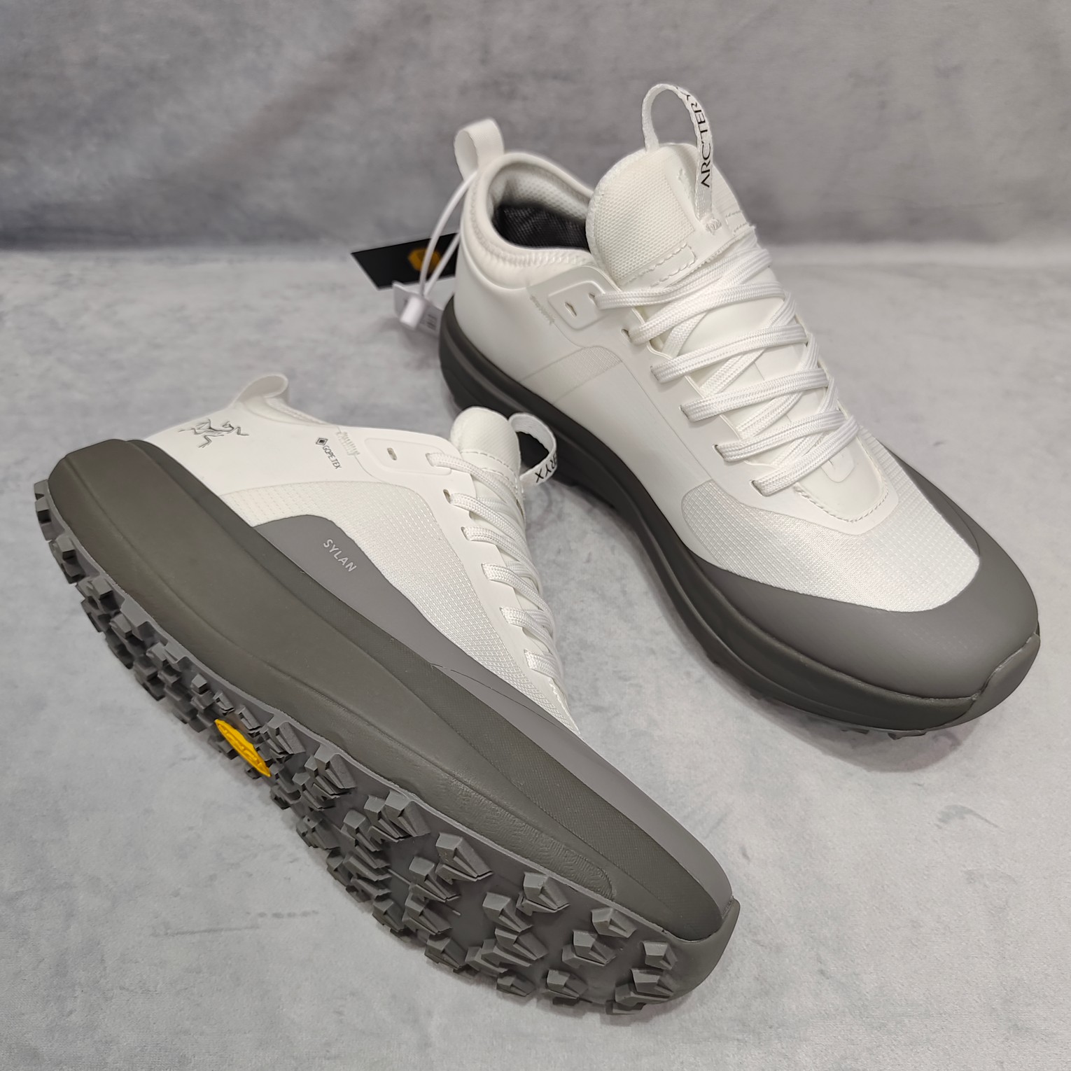 Arcteryx Male Basic Shoes Gray M-l-s