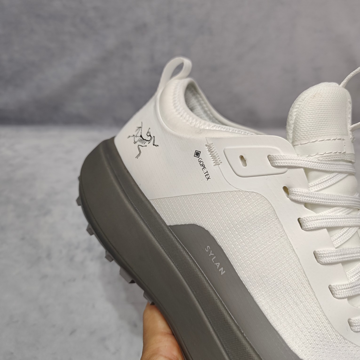 Arcteryx Male Basic Shoes Gray M-l-s