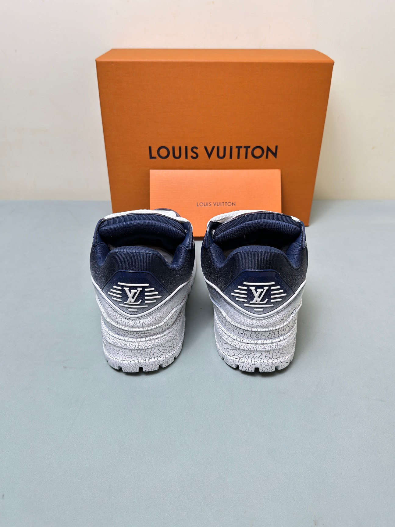 Louis Vuitton Male Sneakers M-l
