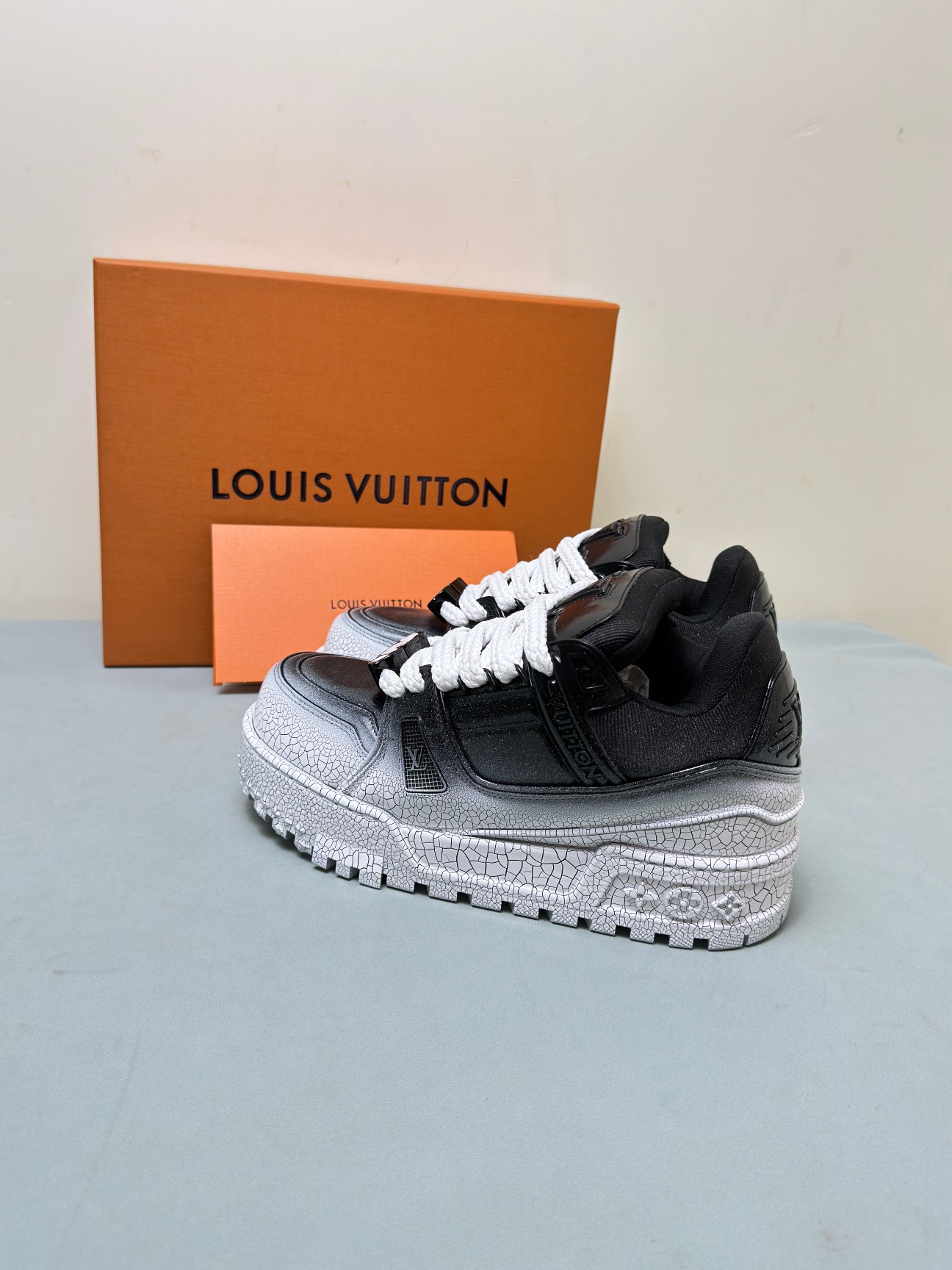 Louis Vuitton Male Sneakers M-l
