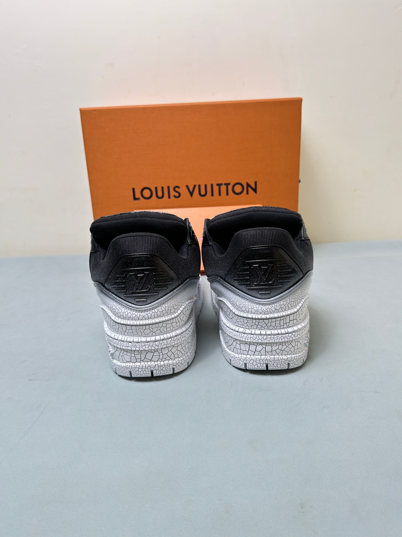 Louis Vuitton Male Sneakers M-l
