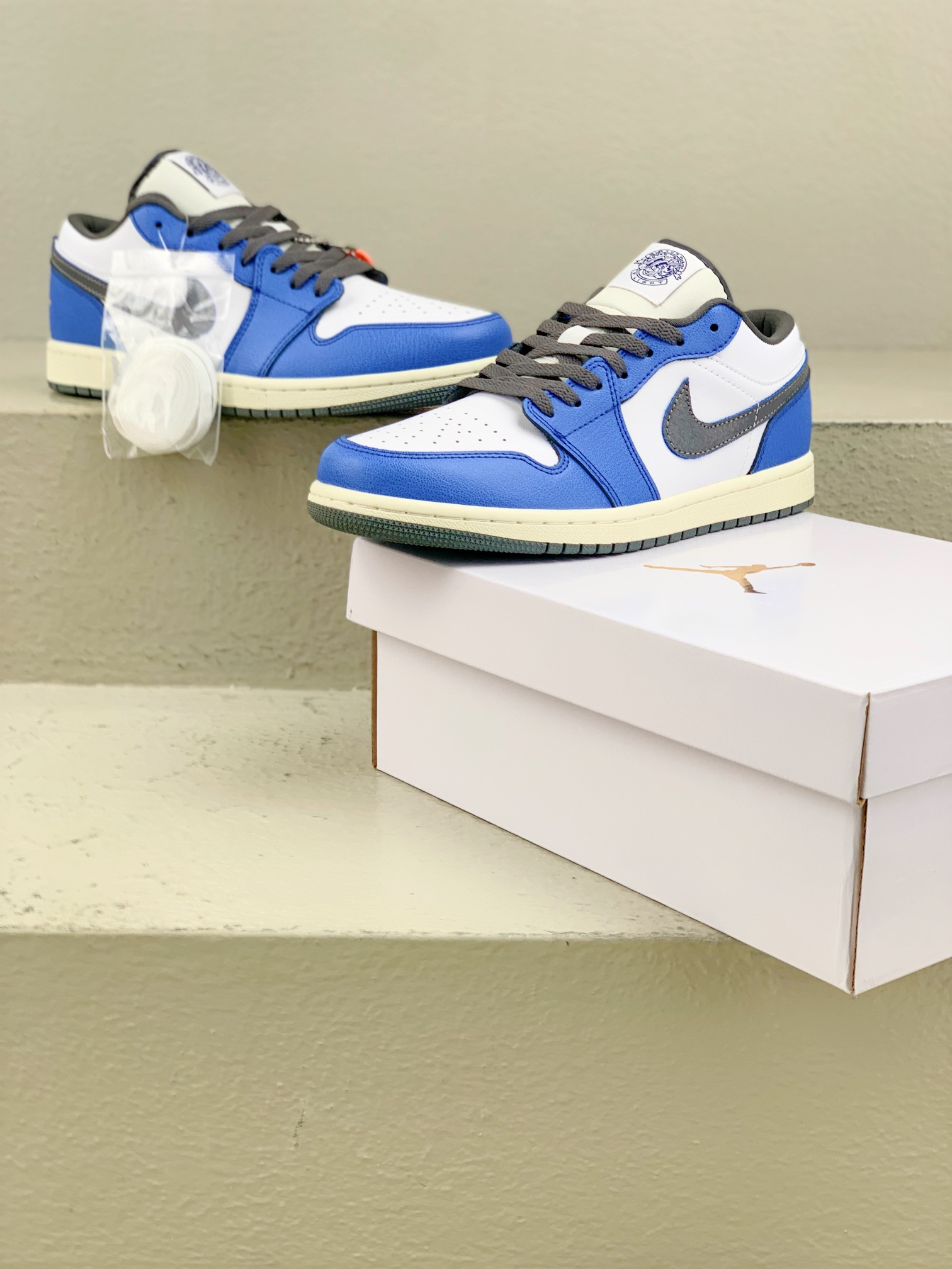 Jordan Nike Basic Shoes L