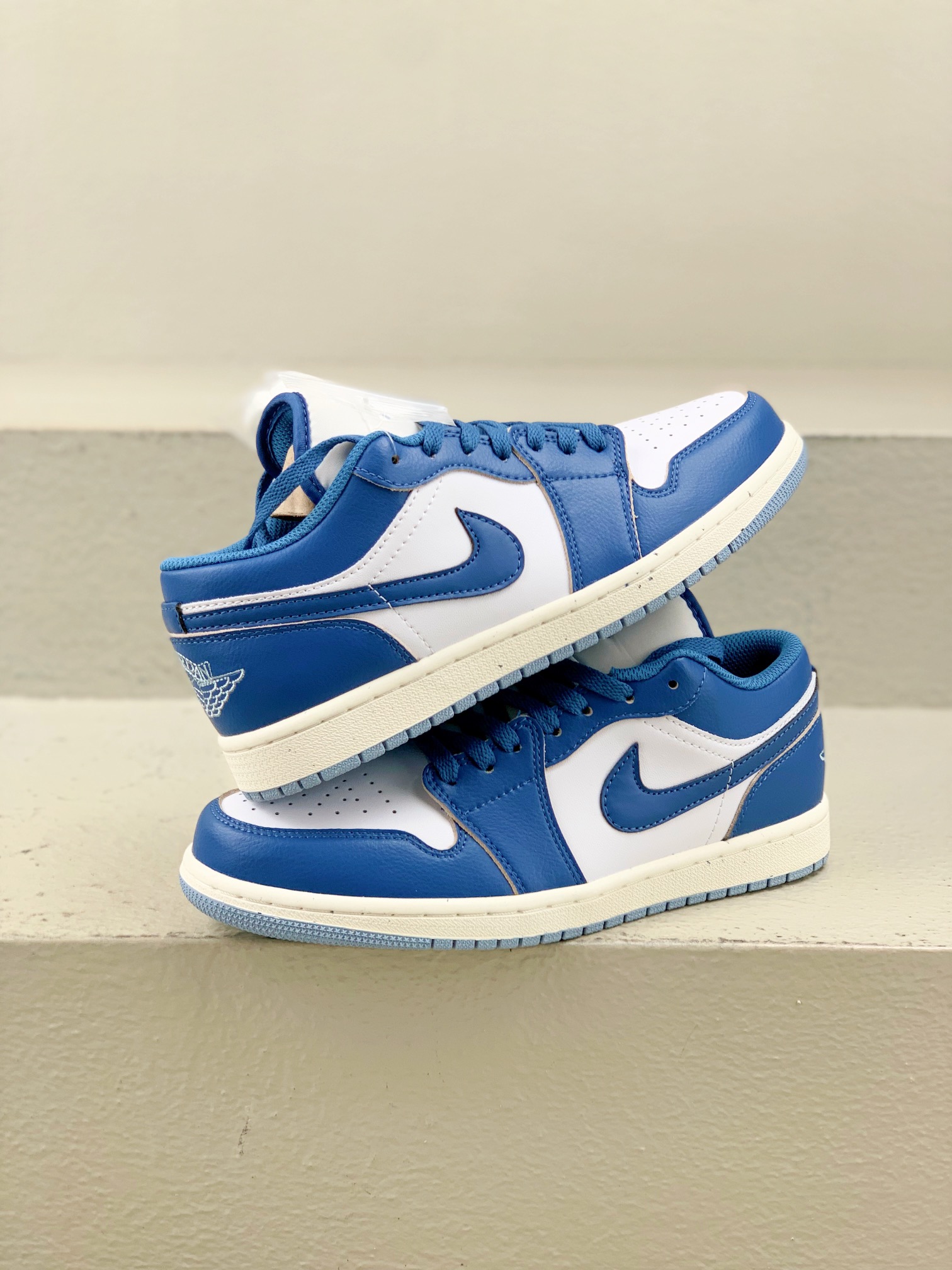 Jordan Nike Board Shoes L