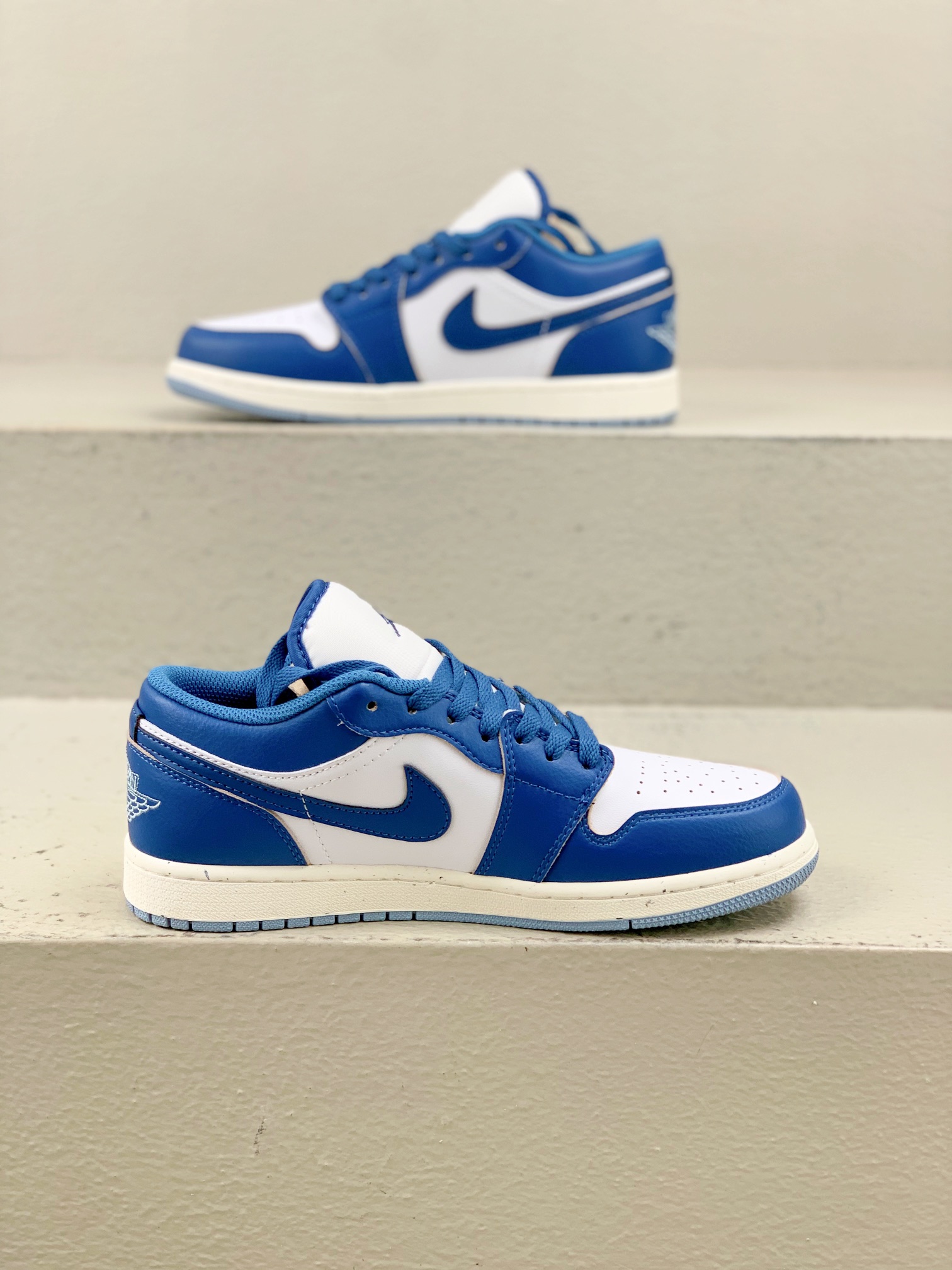 Jordan Nike Board Shoes L