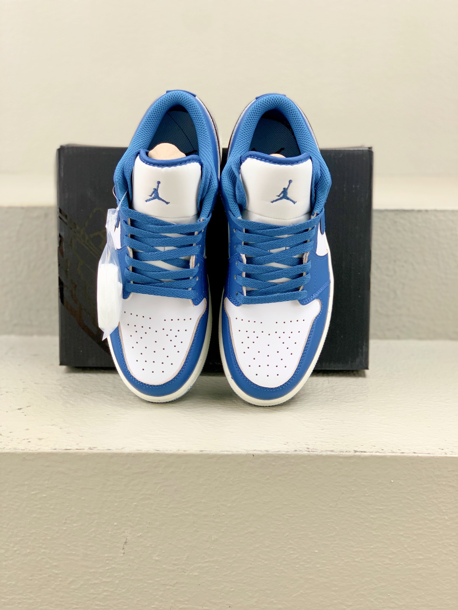 Jordan Nike Board Shoes L