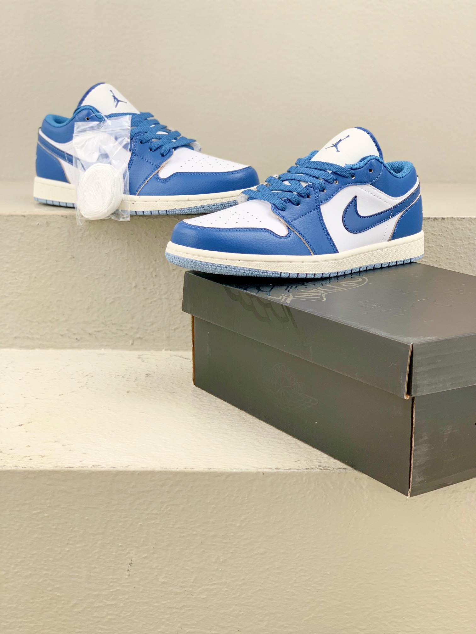 Jordan Nike Board Shoes L