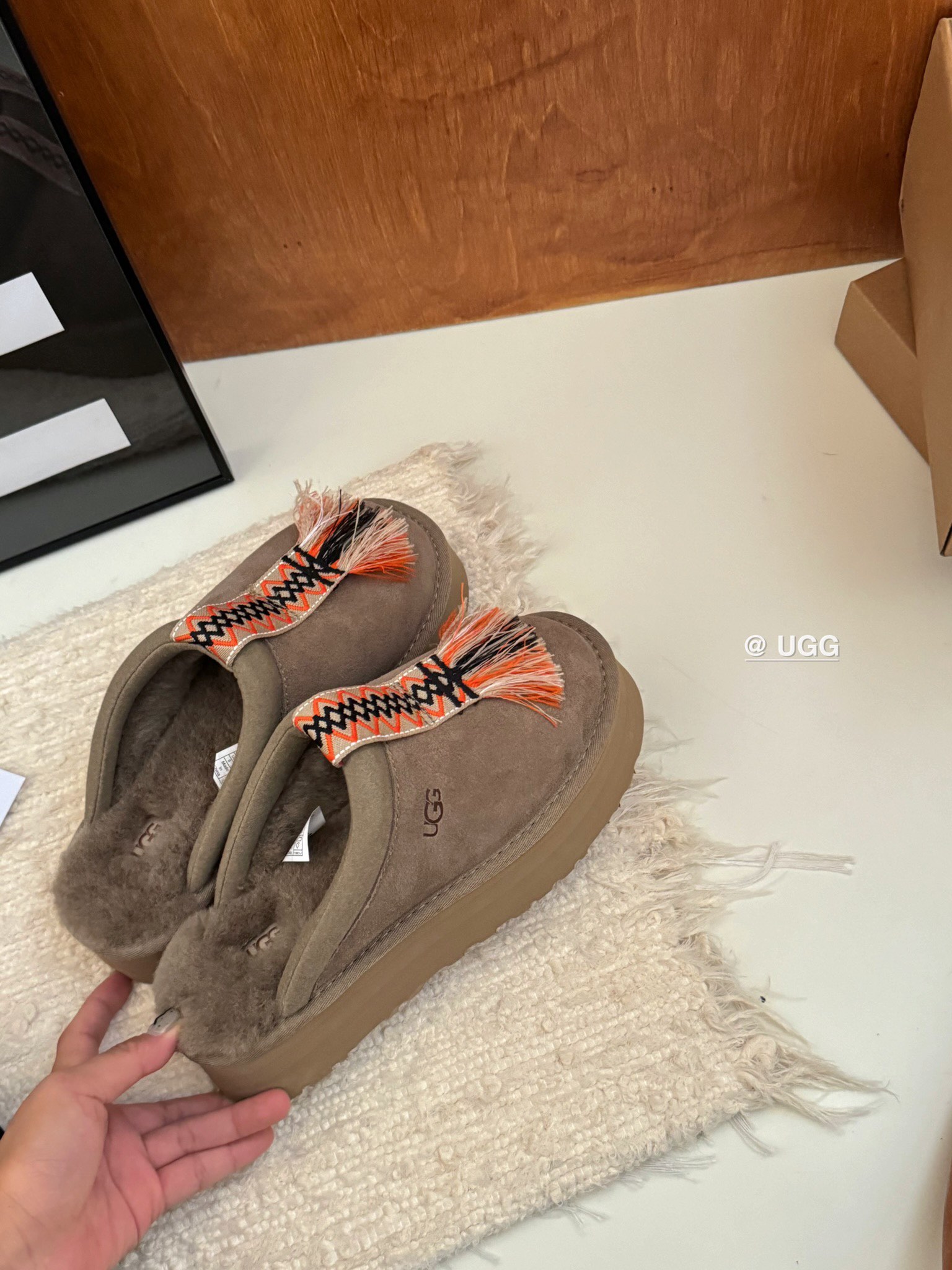 Basic Shoes