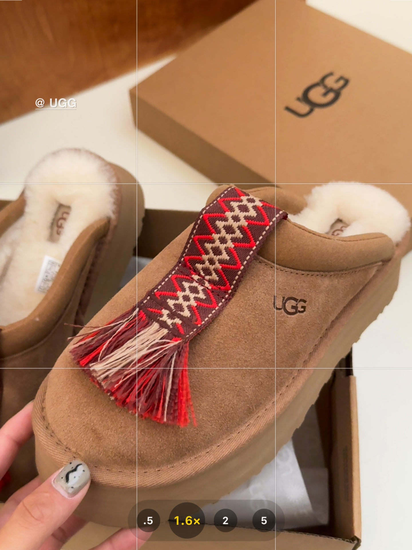 Basic Shoes