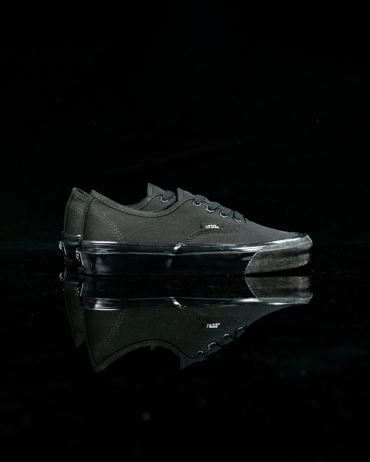 Vans Basic Shoes M-s